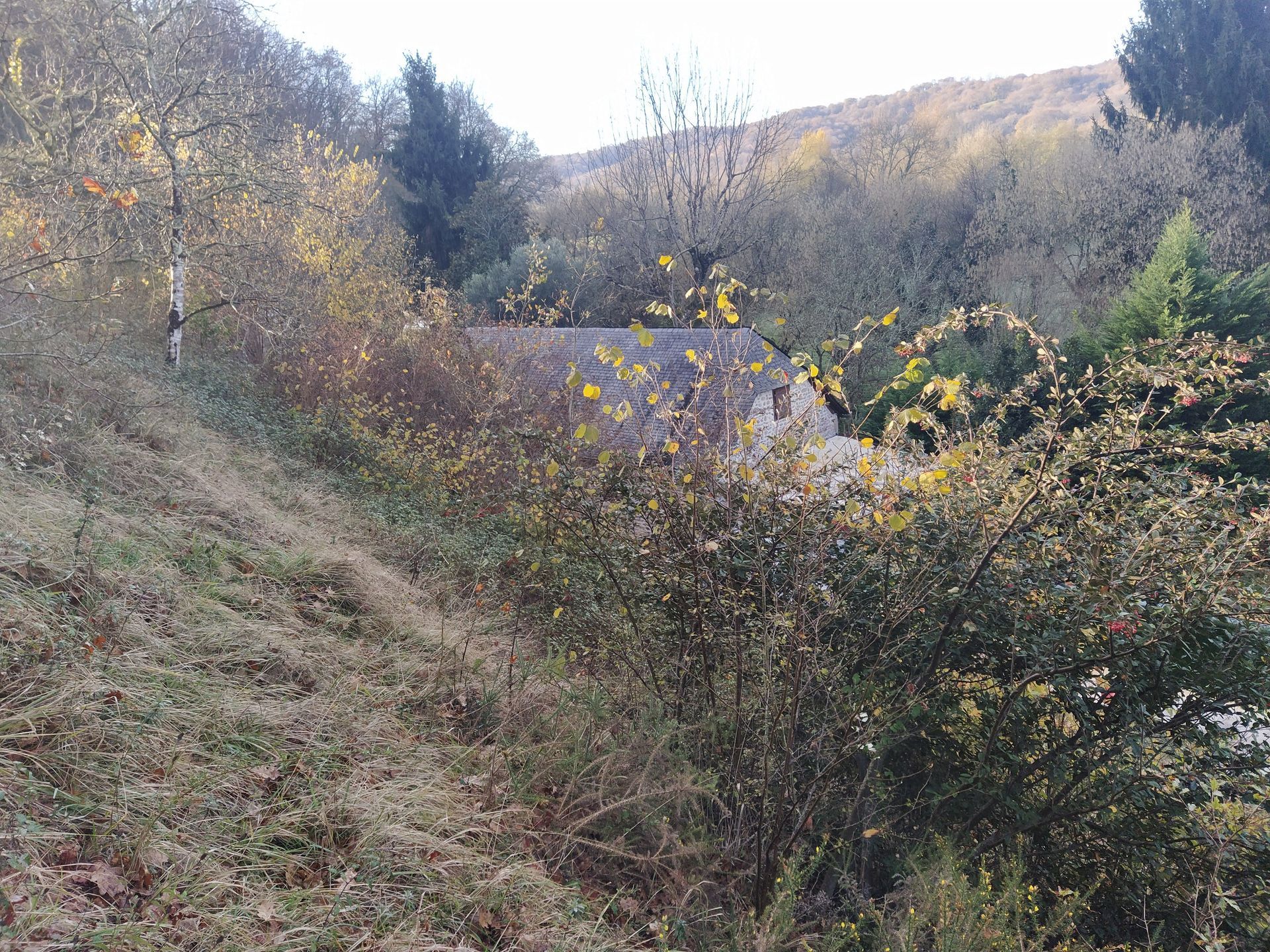 Une végétation luxuriante entoure un bâtiment au toit gris, situé dans un paysage boisé à flanc de colline.