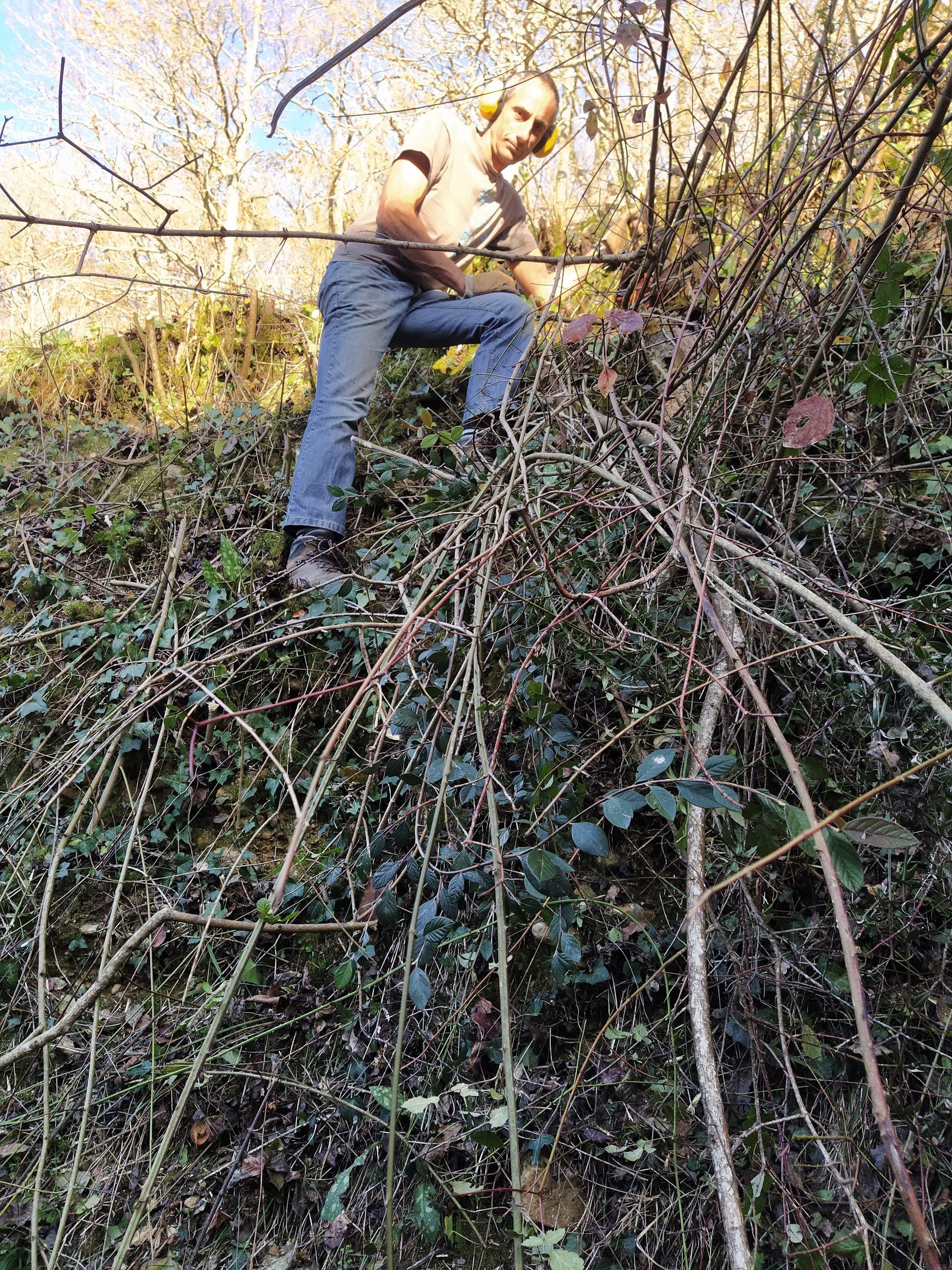 Un homme débroussaille les broussailles d'une colline. Il porte un jean et un t-shirt ; il fait beau dehors.