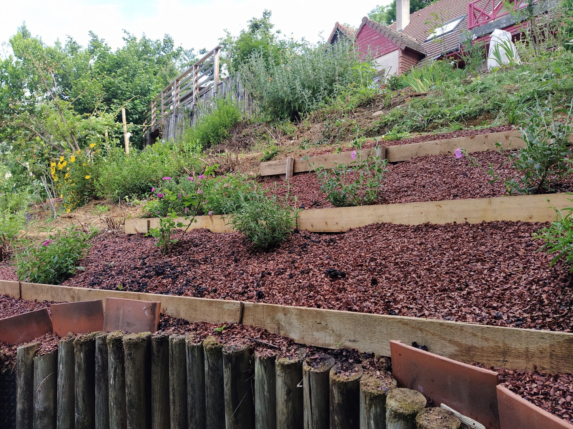 Jardin en terrasses à flanc de colline avec paillis foncé, plantes et supports en bois.
