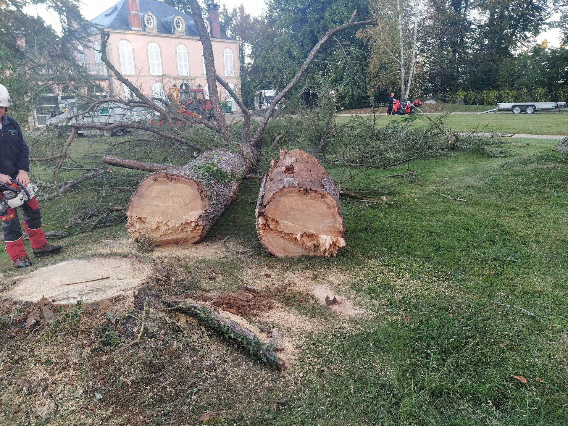 Un homme utilise une tronçonneuse pour couper un tronc d'arbre dans une cour herbeuse.