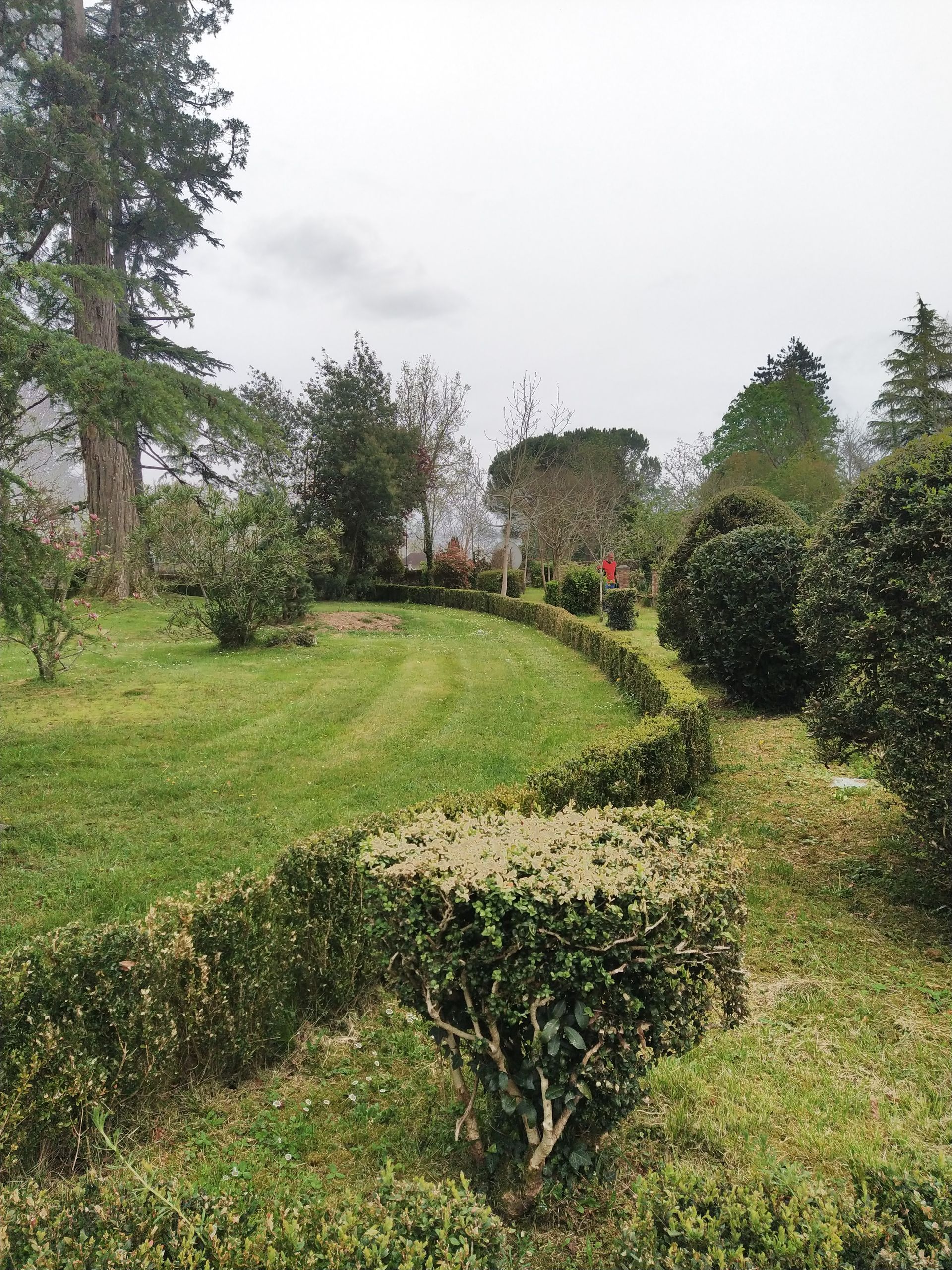 Jardin luxuriant avec haies et arbres bien entretenus. Herbe verte, ciel nuageux et un sentier au loin.
