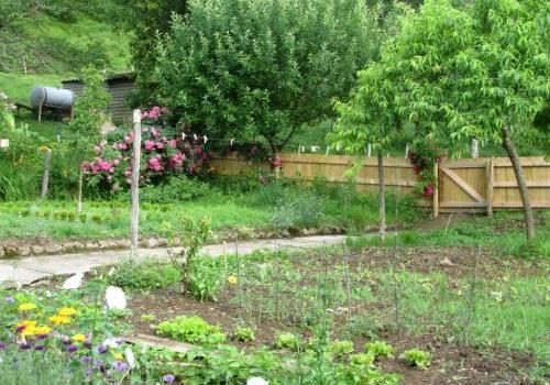 Décorez vos jardins