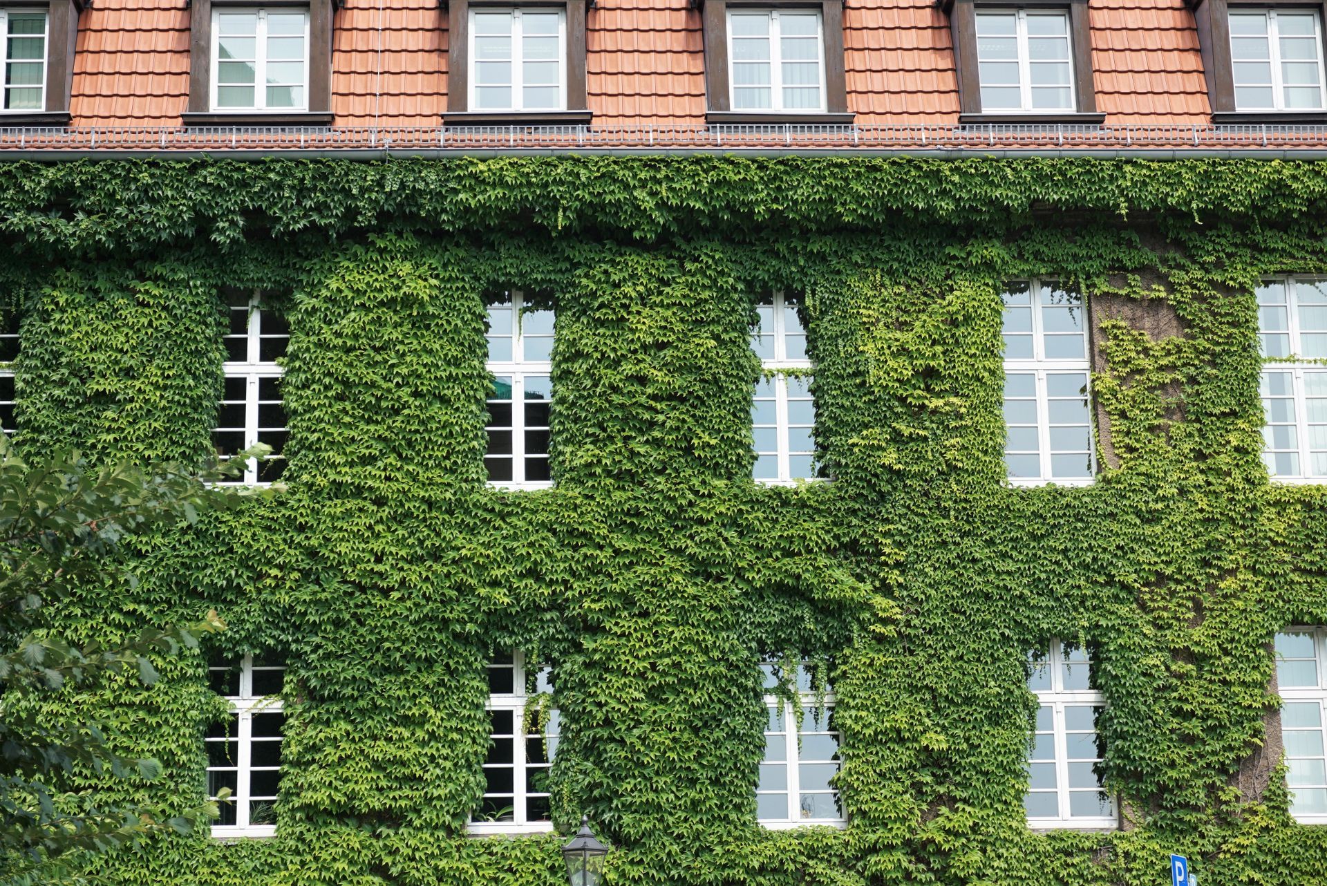 maison végétalisée