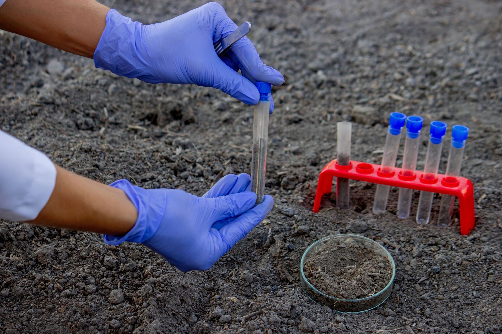 Une personne portant des gants en nitrile bleus prélève un échantillon de sol dans un tube à essai placé à côté d'un support de tubes posé au sol.