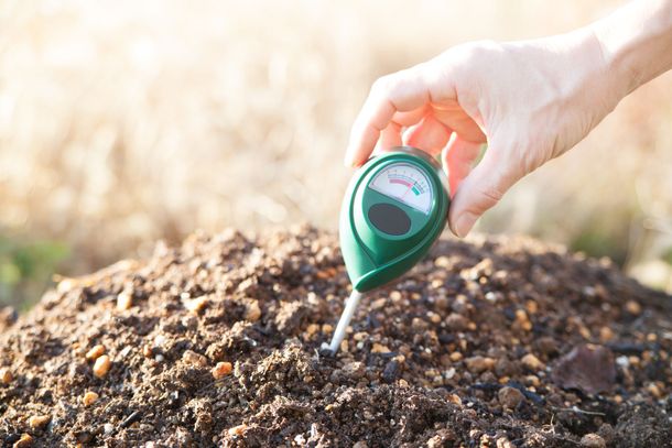 Une main tient un humidimètre de sol vert enfoncé dans un tas de terre brune texturée, dans un cadre extérieur ensoleillé.