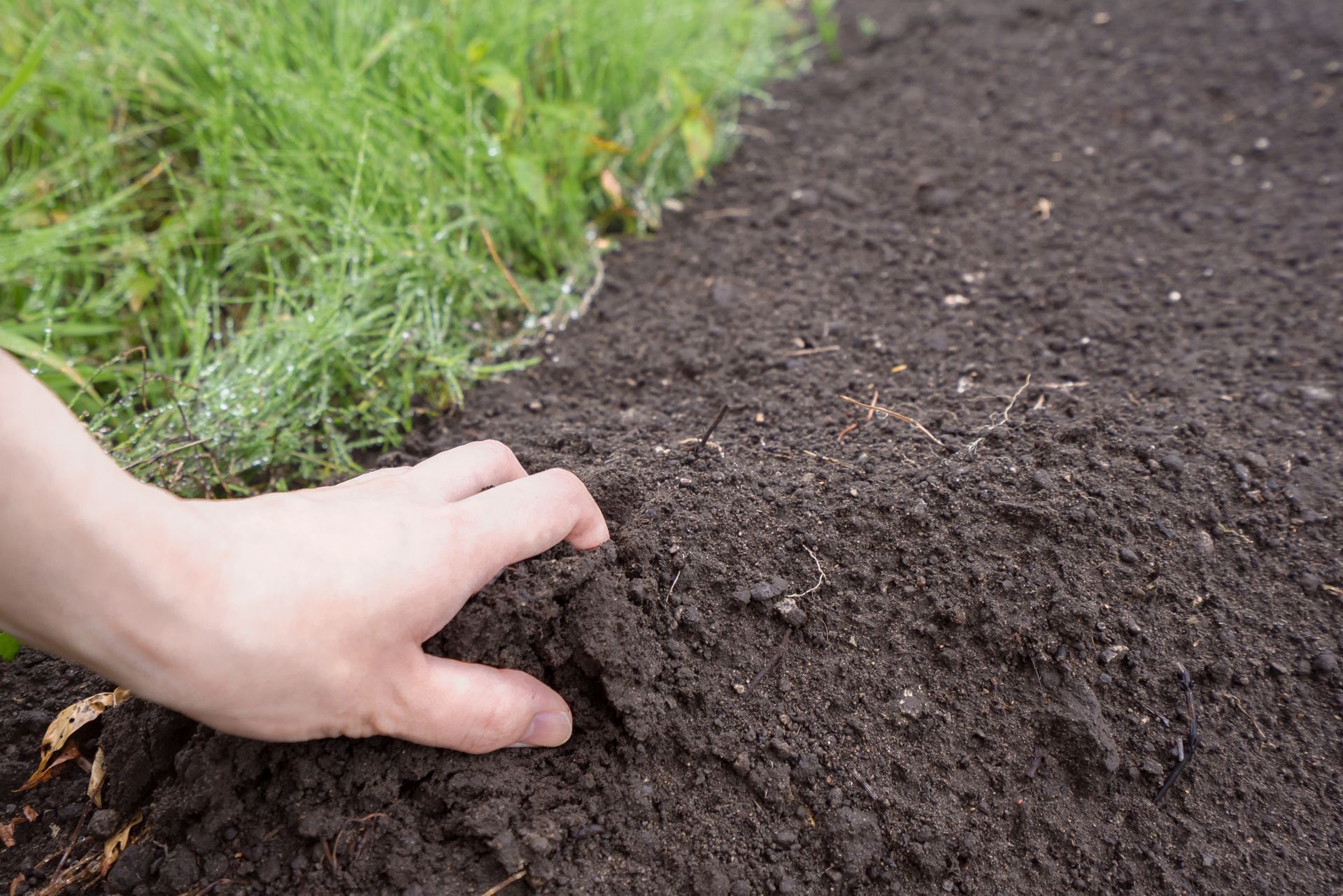 Une main effleure la terre sombre et labourée du jardin, à côté d'une touffe d'herbe verte.