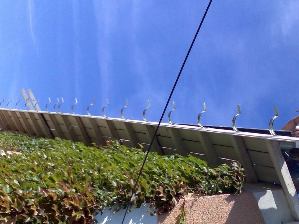 Refection cheneaux zinc.