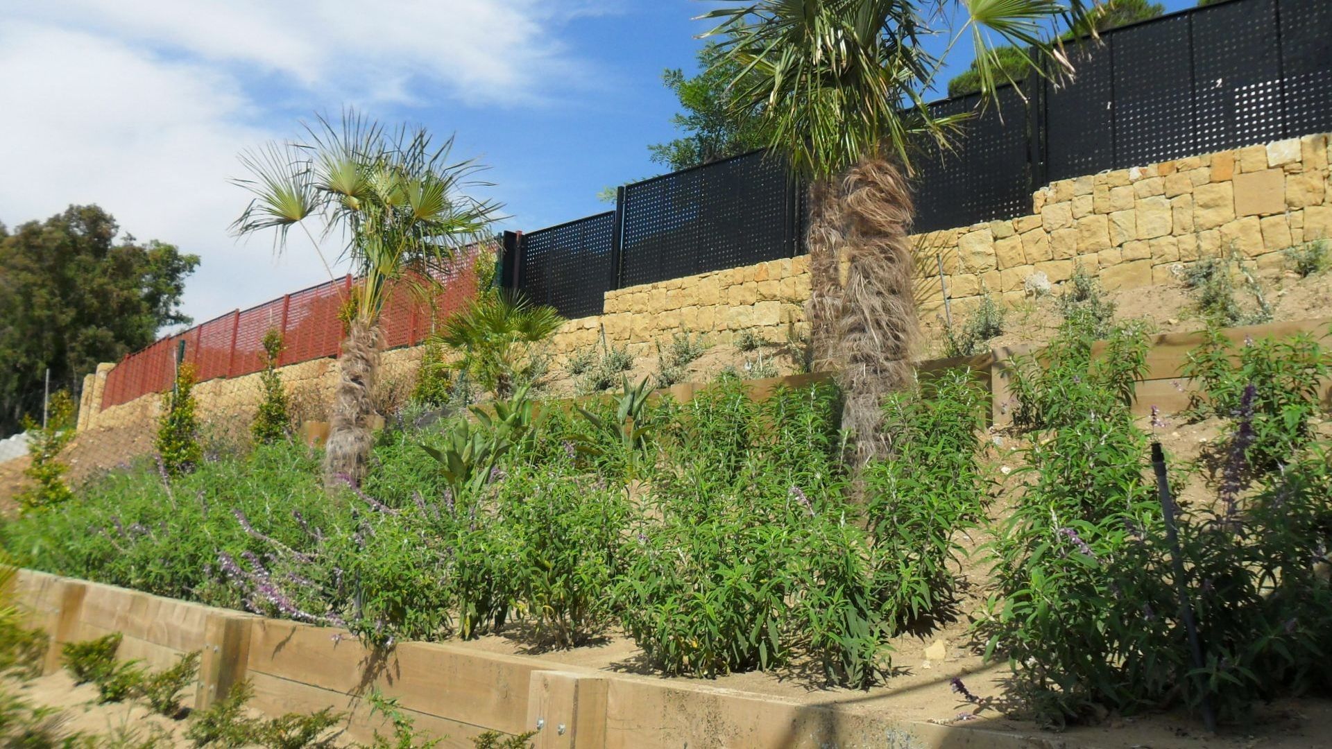 Sotojardín, reformas y construcción en San Roque