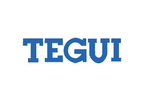 Texto “TEGUI” azul sobre fondo blanco.