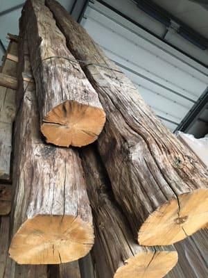 Ein Haufen übereinander gestapelter Baumstämme in einem Lagerhaus.