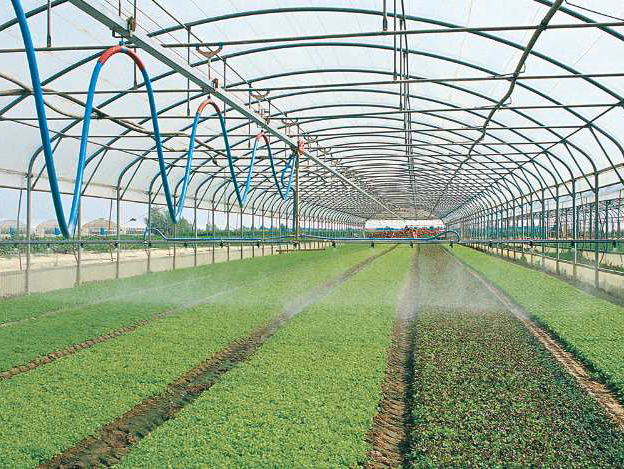 Système d'irrigation avec un tube au plafond