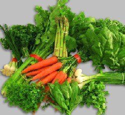 Botteleuses automatiques à persil