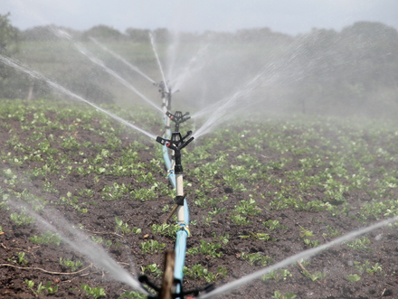 Irrigation par le sol