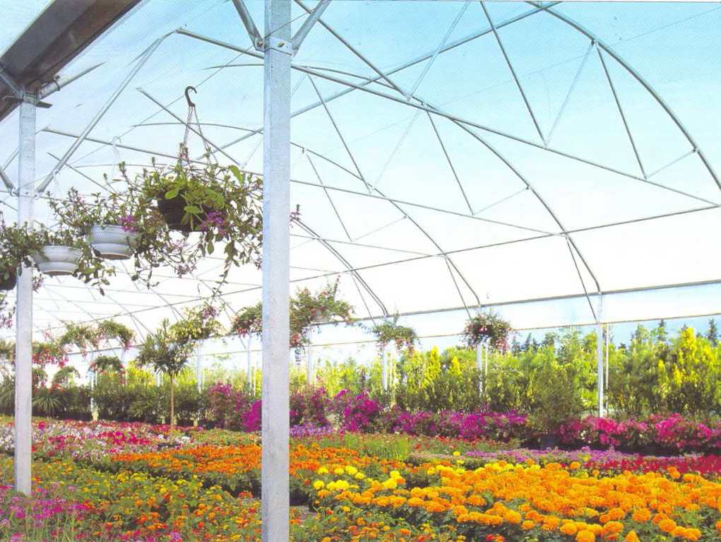 Serre remplie de fleurs
