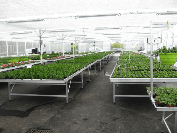 Tablettes de culture