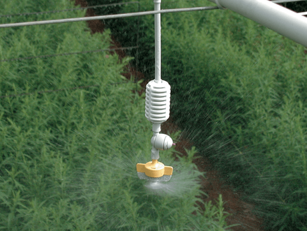 Système d'irrigation par le plafond