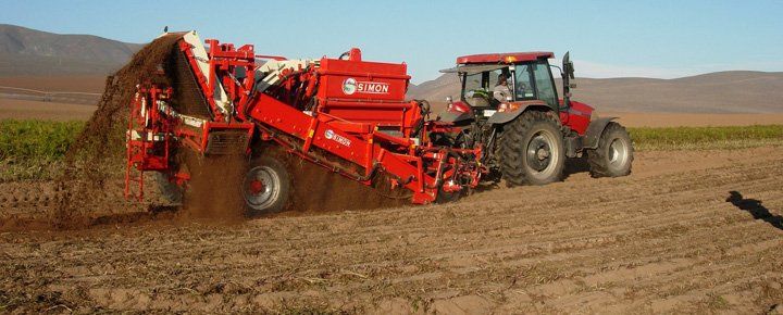 Arracheuses de carottes