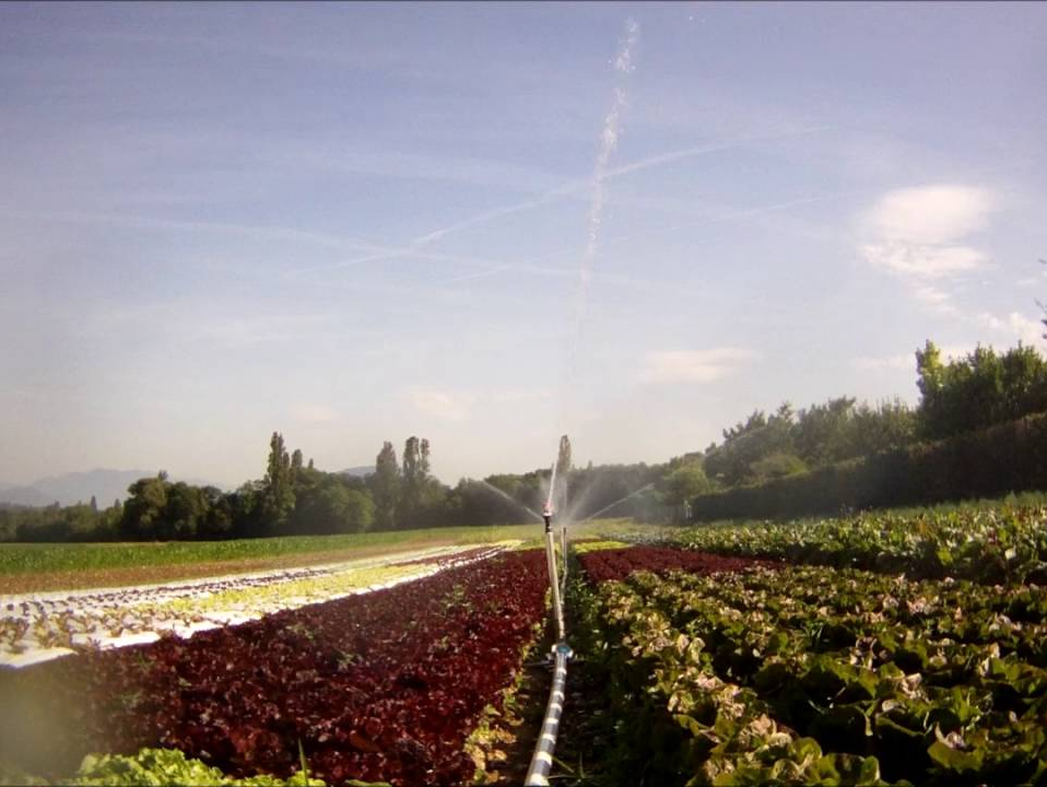 Système d'irrigation placé au centre d'un champ