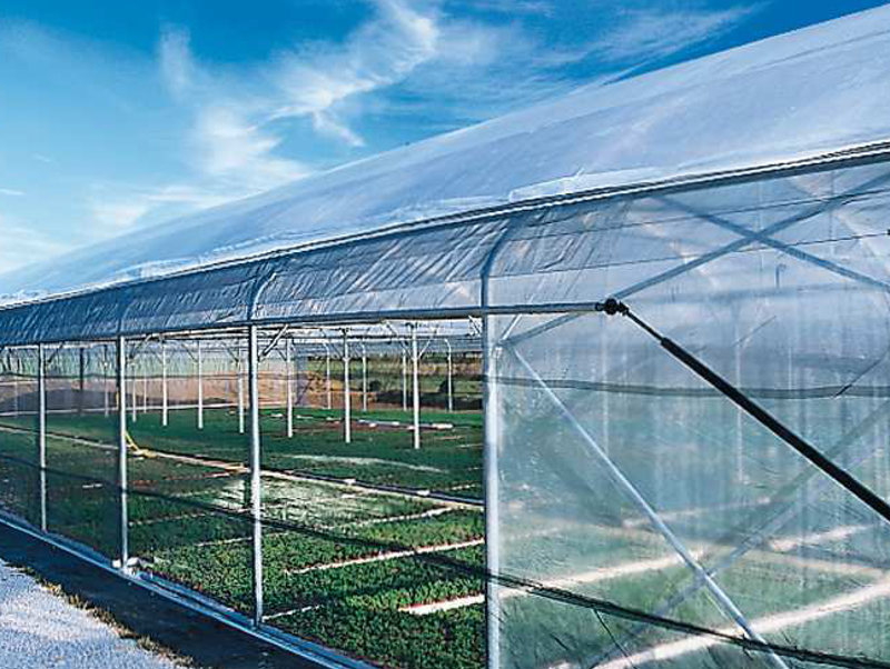 Serre chapelle vue de biais