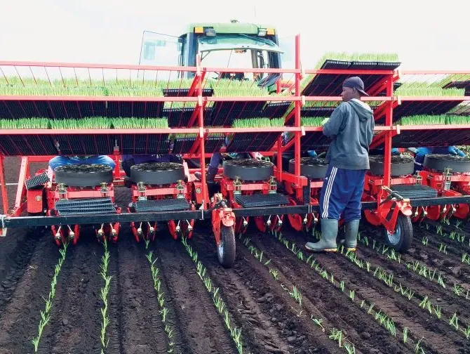 Appareil plantant dans le sol