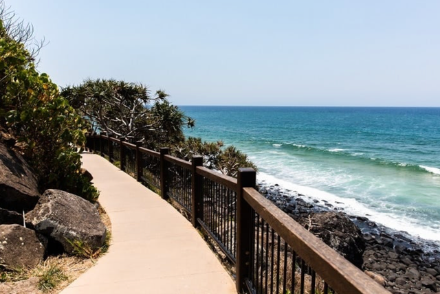 Best Walks on the Gold Coast: Coastal, Rainforest & Hinterland Trails