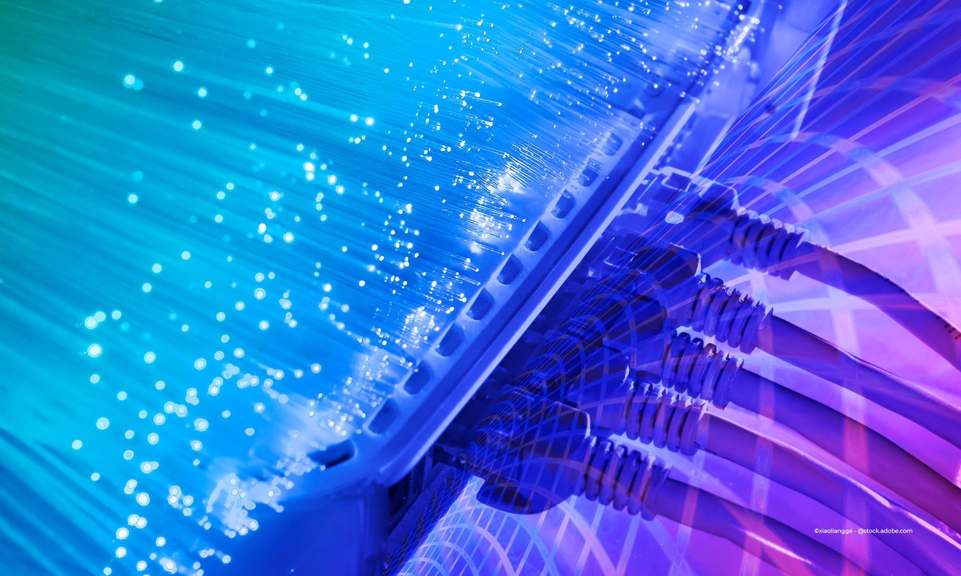 Blauer Netzwerk-Switch mit angeschlossenen Kabeln und Glasfaser-Datenströmen.