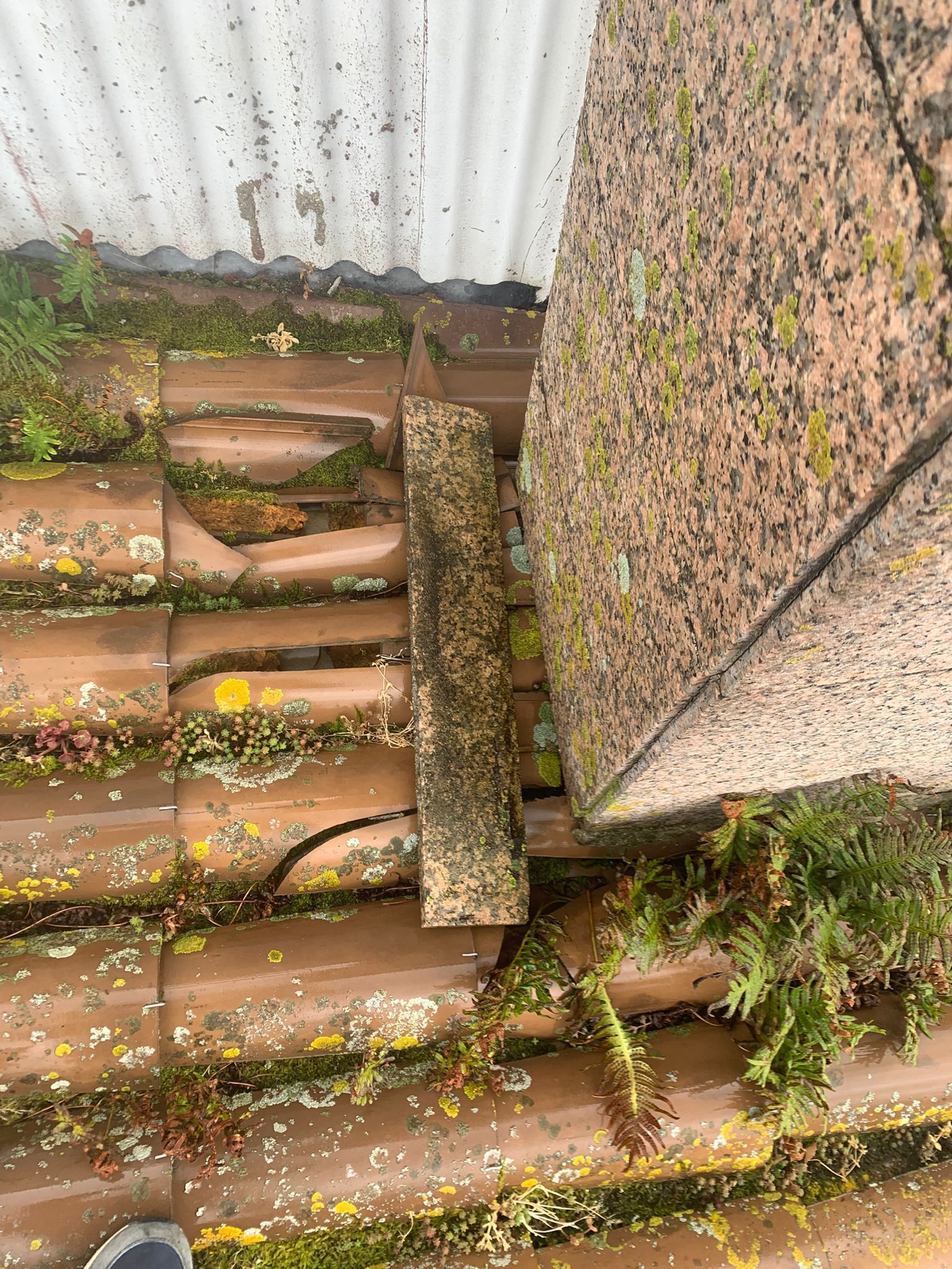 Tejas cubiertas de musgo junto a una pared blanca ondulada y un poste de hormigón texturizado.