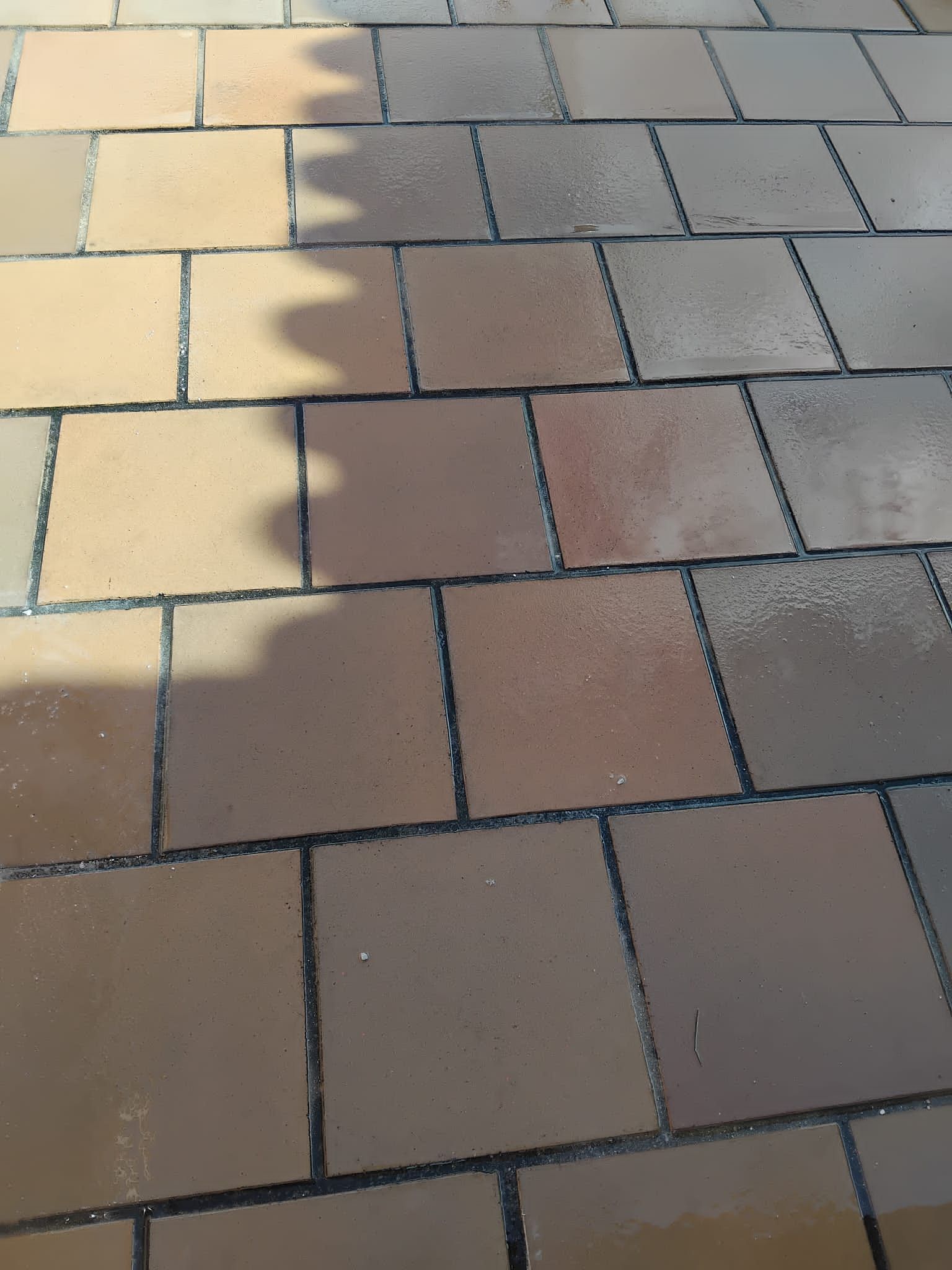 Pavimento de ladrillos tostados y marrones iluminado por el sol con una línea de sombra que lo atraviesa.