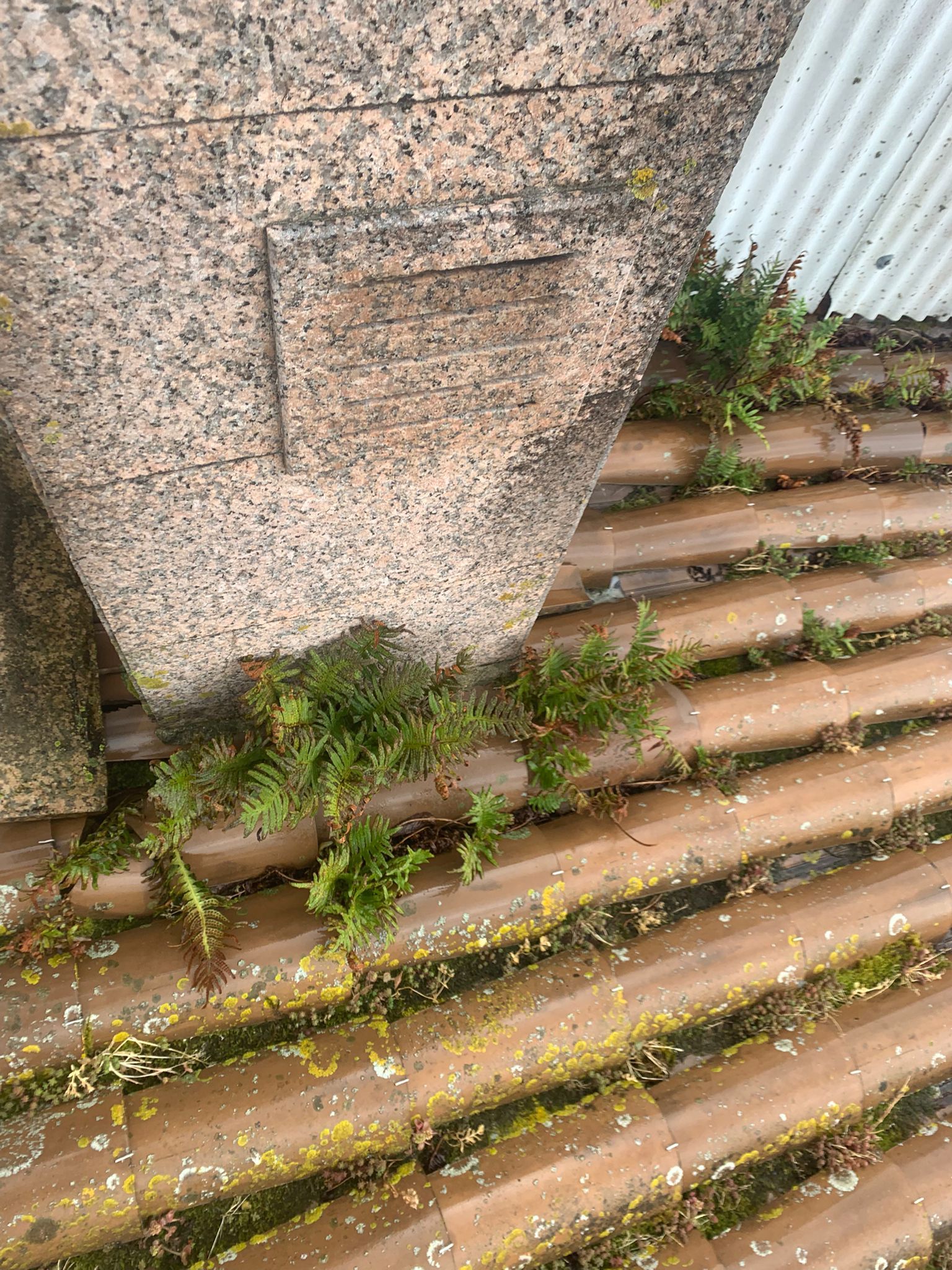 Panel de acceso exterior para servicios públicos en una pared de hormigón moteado