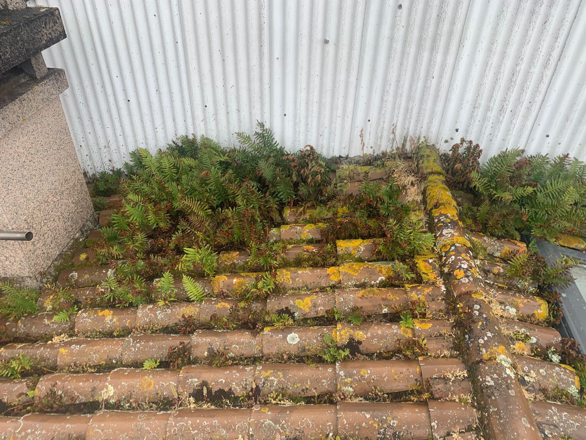 Escalones de ladrillo cubiertos de musgo junto a una pared de metal corrugado y un poste de hormigón en el exterior.