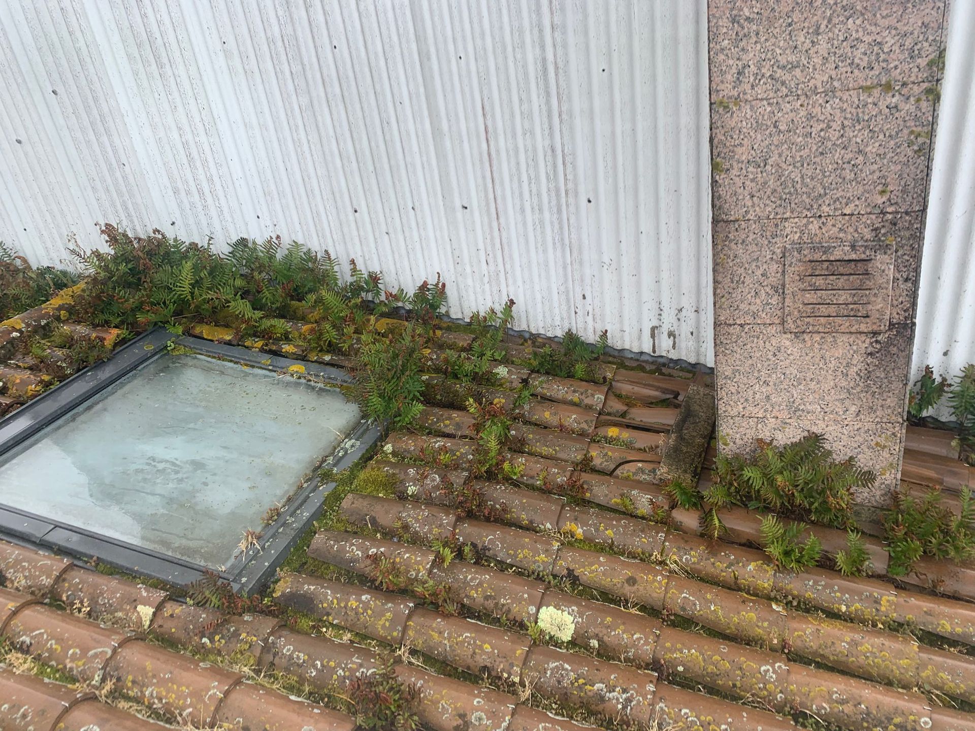 Azotea con tejas cubiertas de musgo, una claraboya de cristal y una pared blanca junto a un pilar de hormigón moteado.