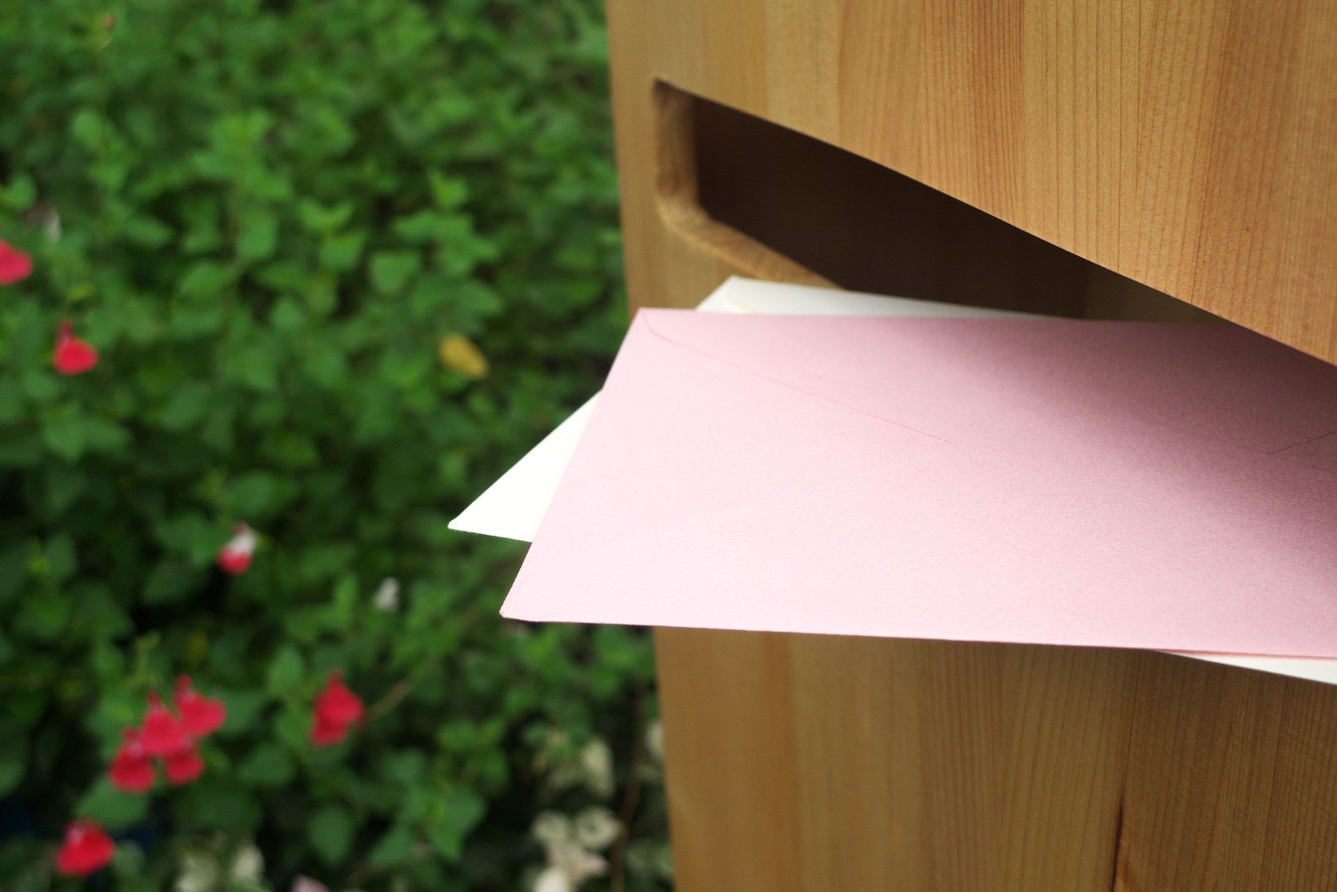 Boîte aux lettres en bois avec des papiers roses et blancs qui dépassent, feuillage vert en arrière-plan.