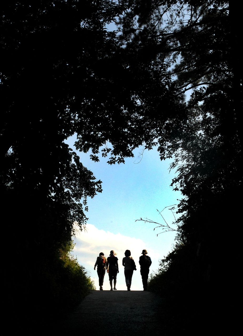 Quatre silhouettes se dessinent, marchant vers un ciel lumineux à travers un tunnel d'arbres obscur.