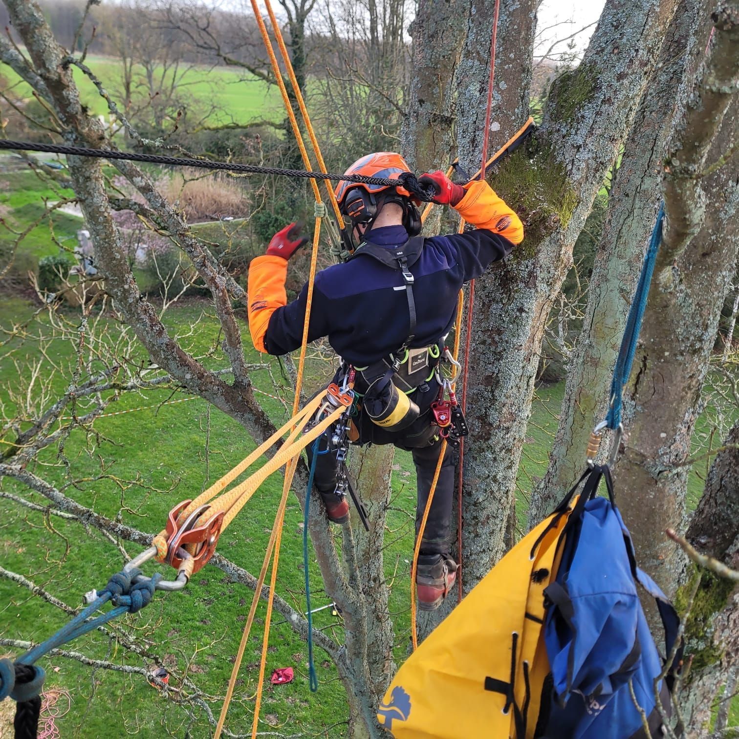Grimpeur d'arbres en casque et veste orange, sécurisé par des cordes parmi les branches au-dessus d'une zone boisée.