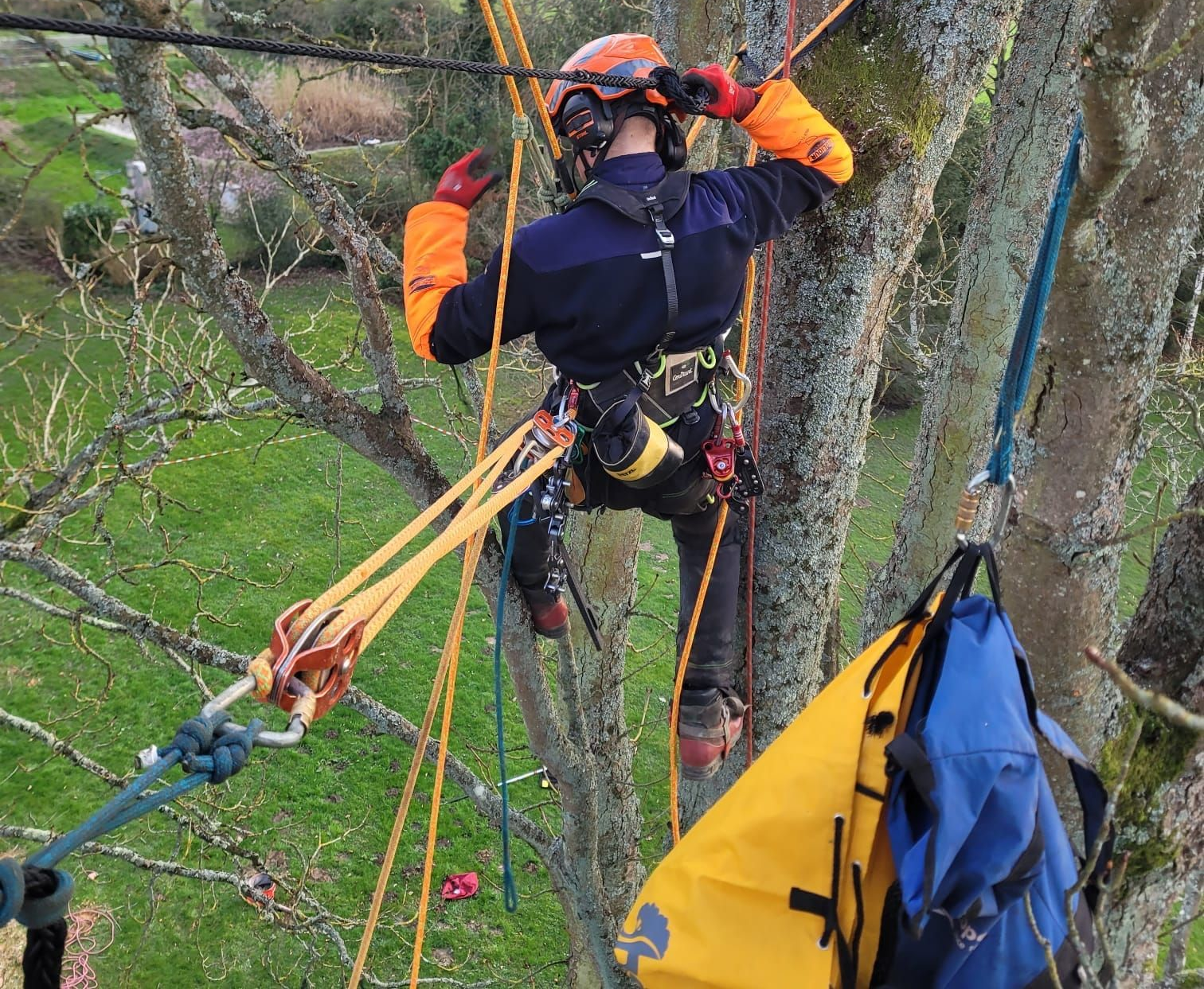 Élagueur-grimpeur en tenue orange gravissant des cordes sur un versant boisé.