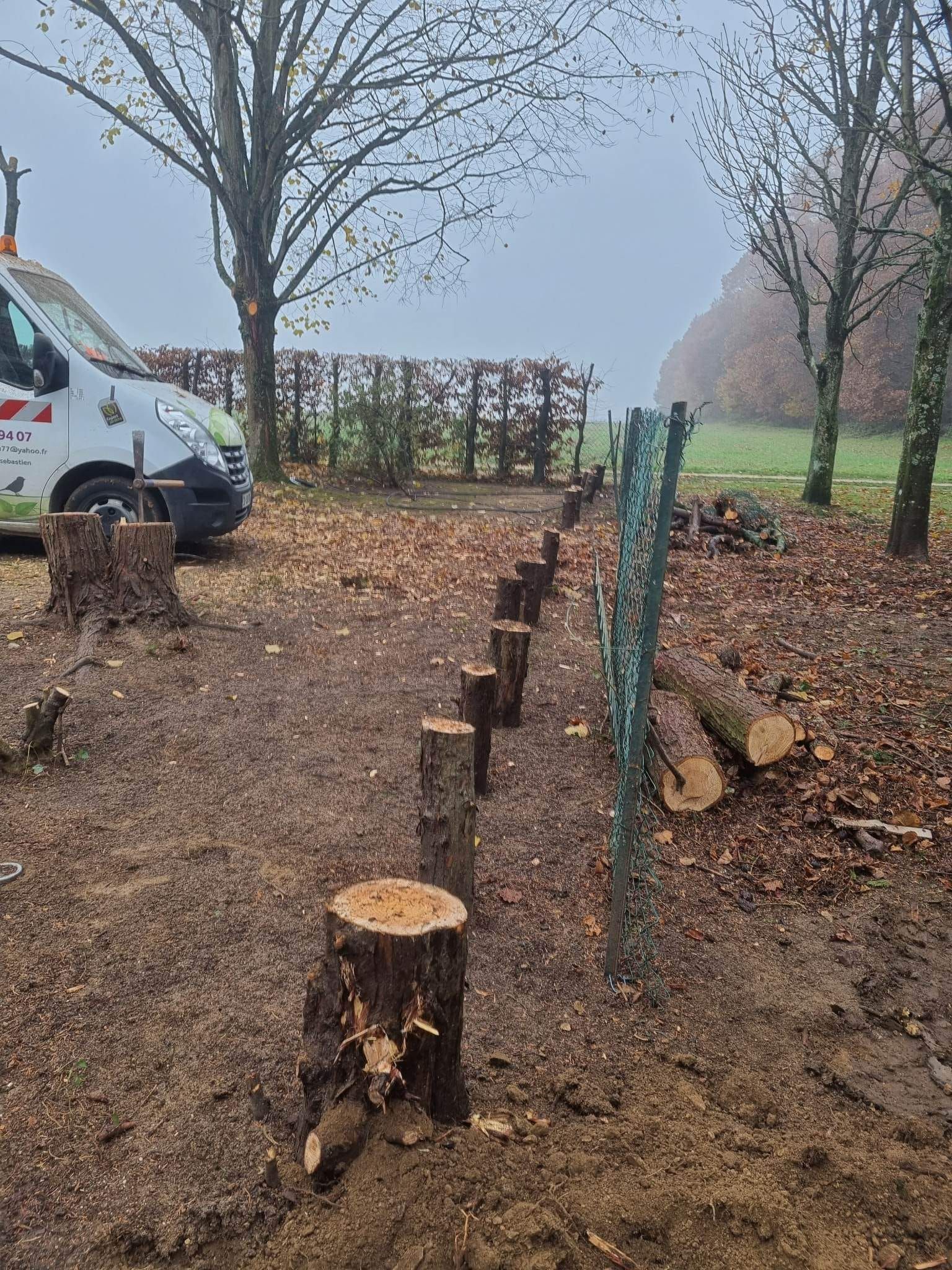 Verger brumeux avec des souches d'arbres et une clôture à côté d'une camionnette blanche.