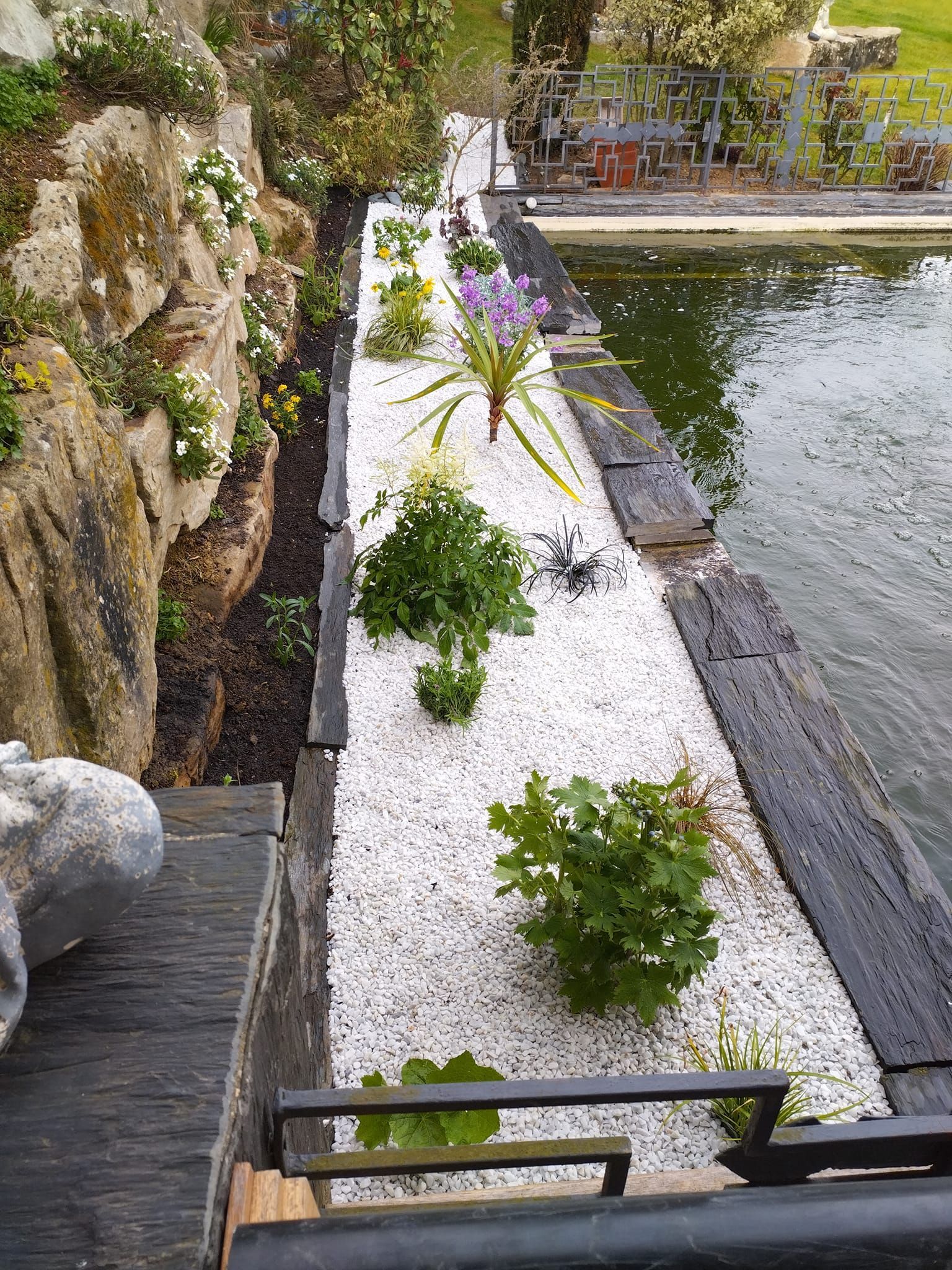 Étroit chemin de gravier blanc bordé de plantes vertes, longeant un étang ou un ruisseau rocailleux.