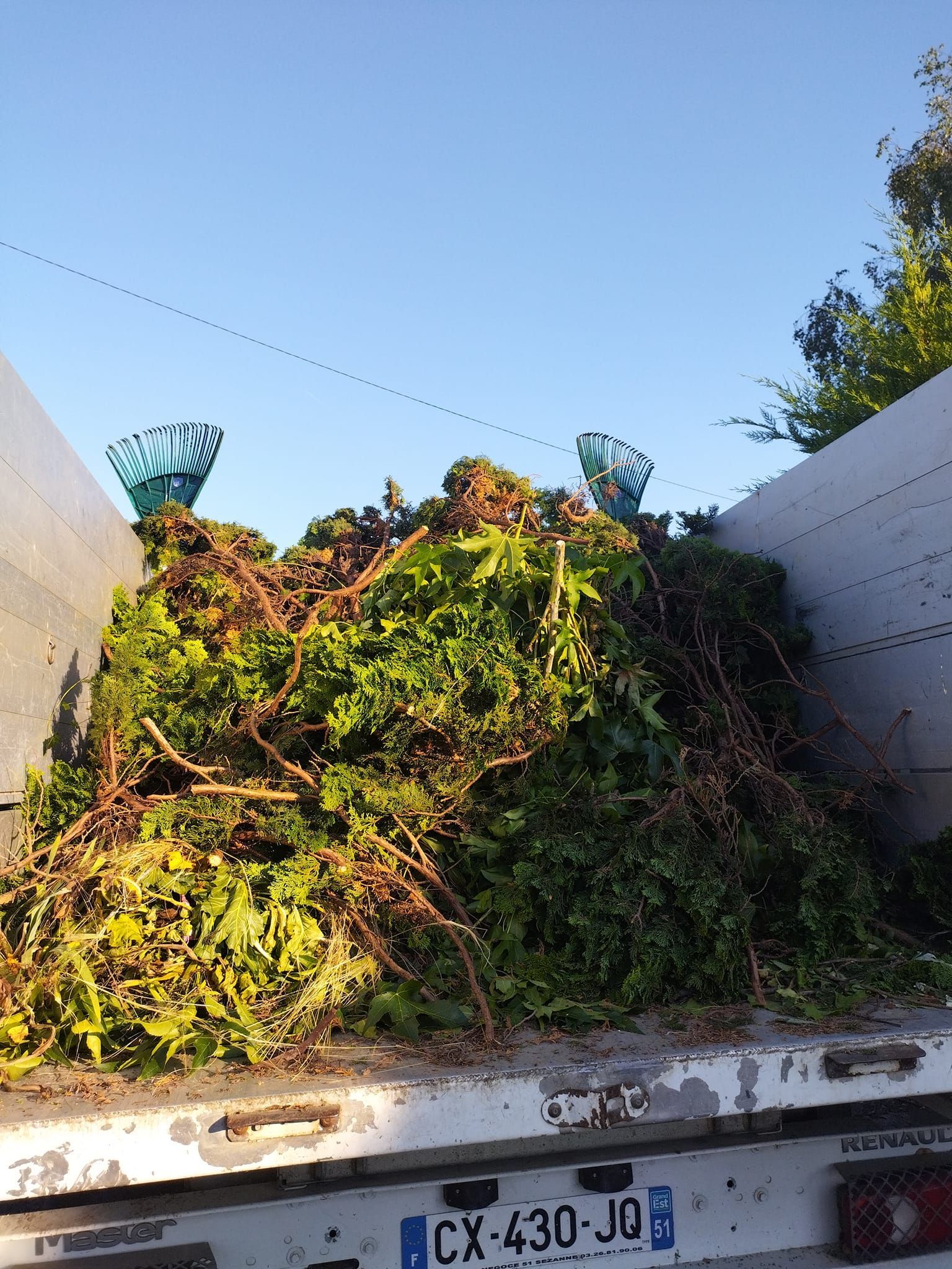 Une benne à ordures débordante de déchets verts et bruns sous un ciel bleu clair.