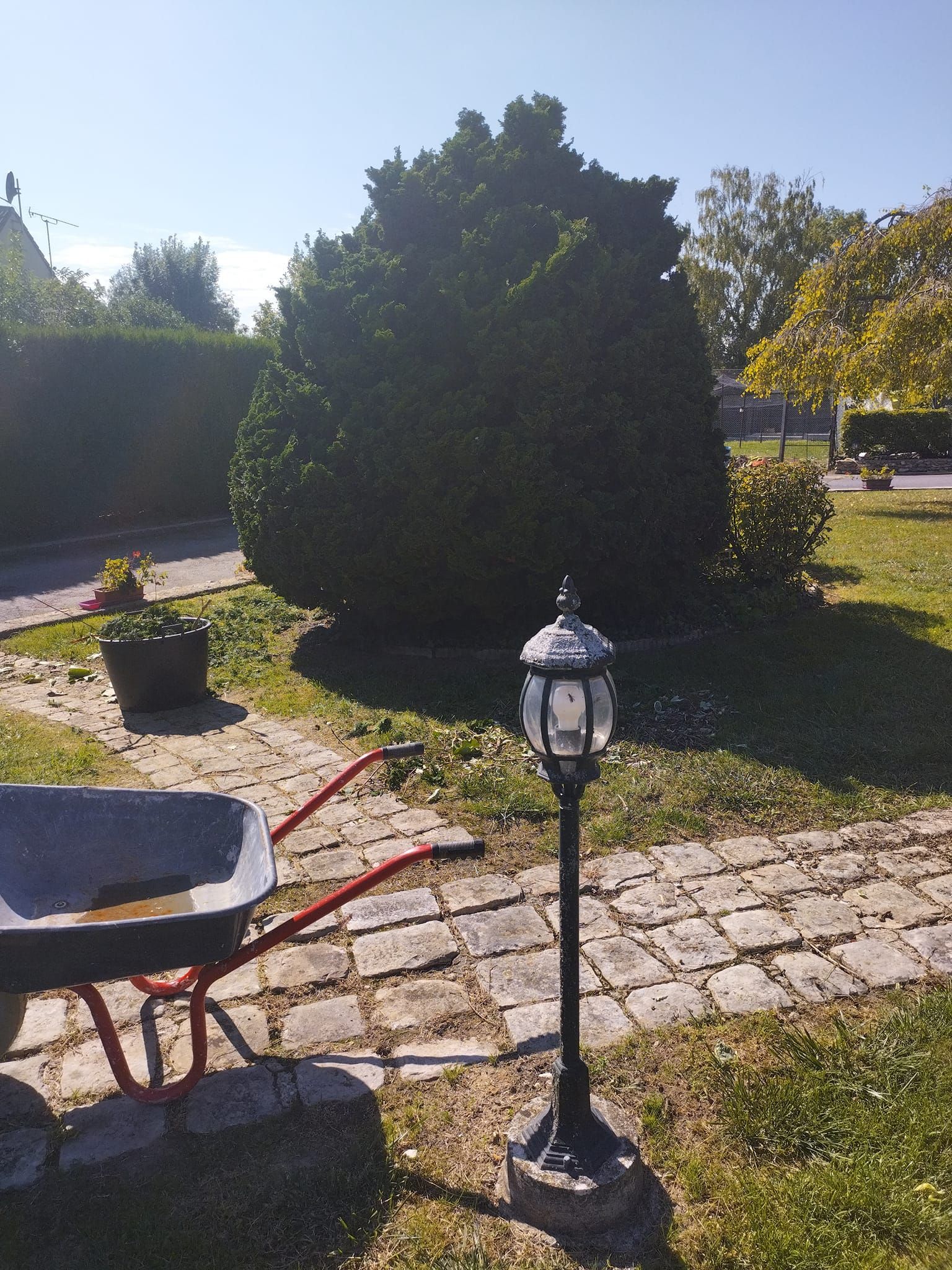 Jardin ensoleillé avec une brouette, un chemin de pierres, une lanterne et un grand arbuste taillé.