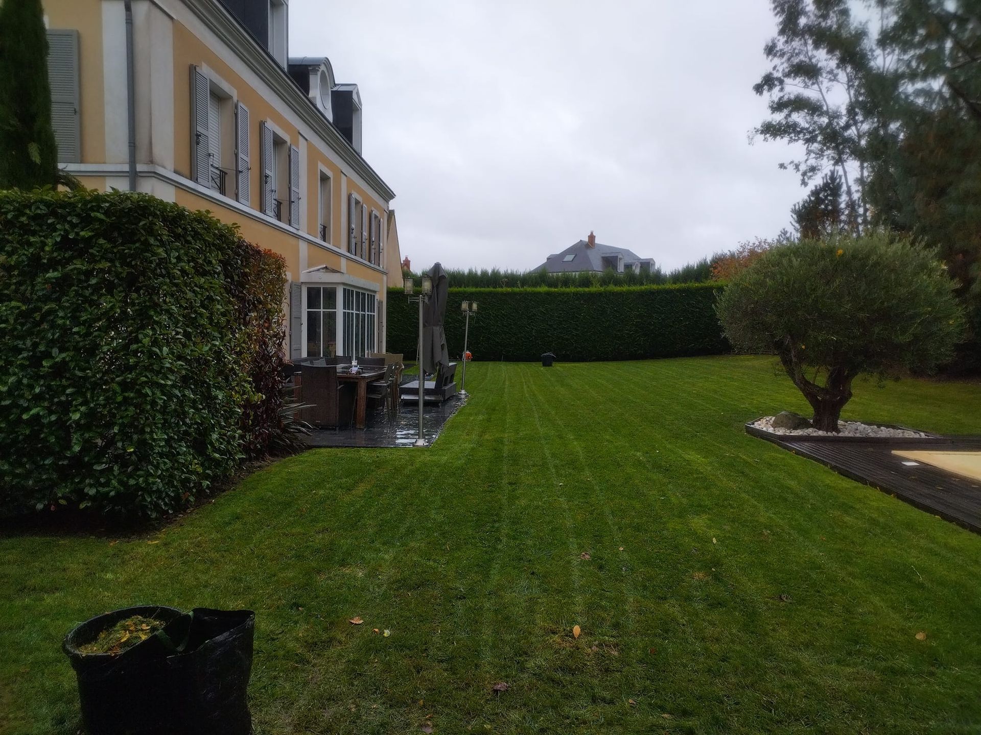 Grand jardin verdoyant jouxtant une maison jaune, agrémenté de haies, d'arbres et d'une terrasse pavée sous un ciel nuageux.