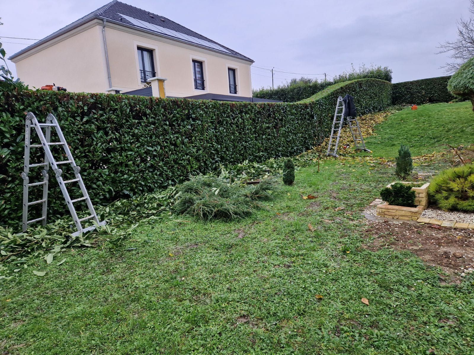 Jardin avec pelouse bordée de haies, une échelle et une maison beige sous un ciel nuageux.