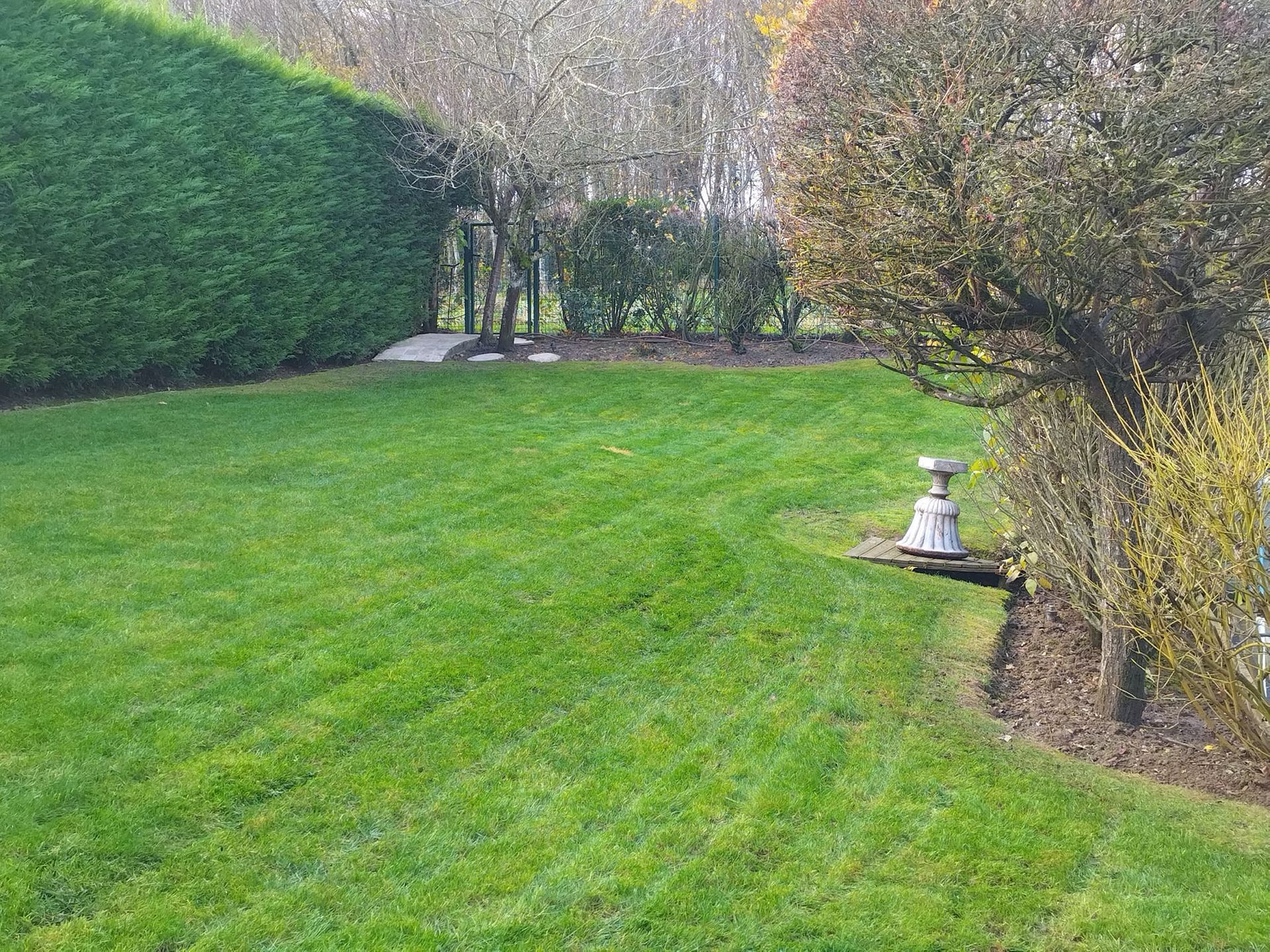 Pelouse verte à l'arrière avec haies, arbres et une petite lampe de jardin sur la droite.
