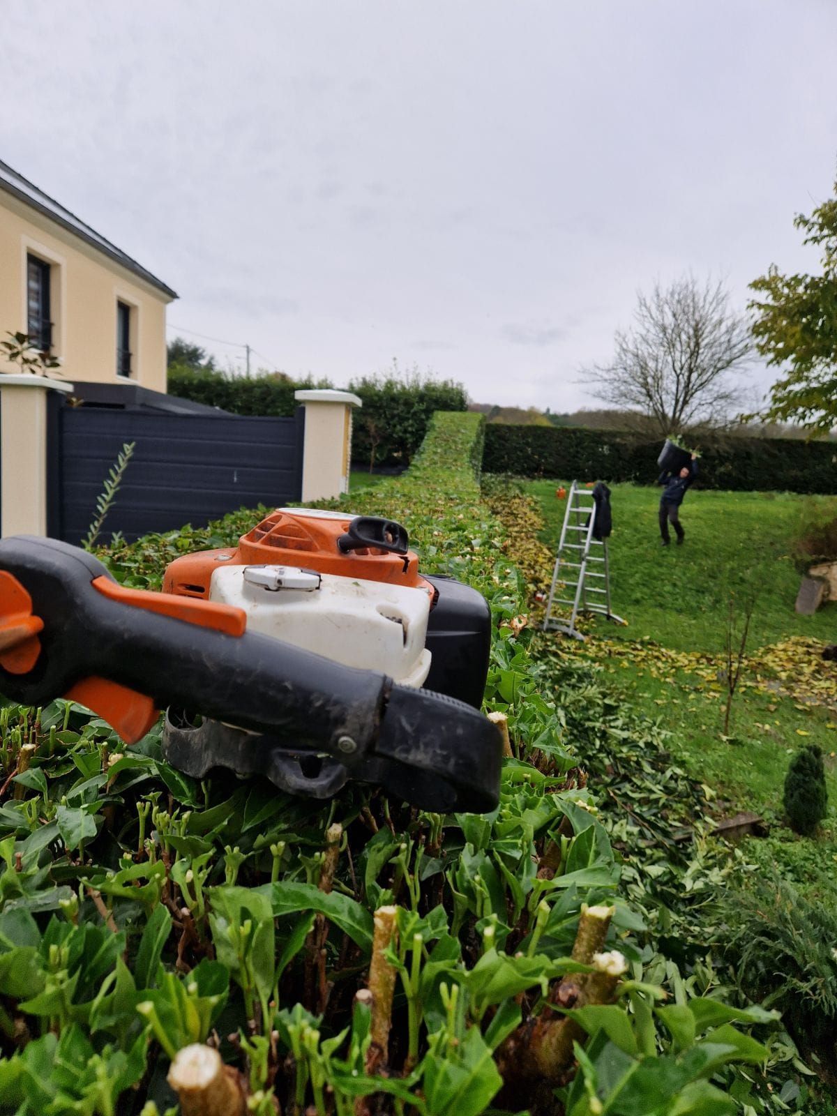 Au premier plan, un taille-haie, tandis qu'une personne taille une haie verte dans un jardin par temps couvert.