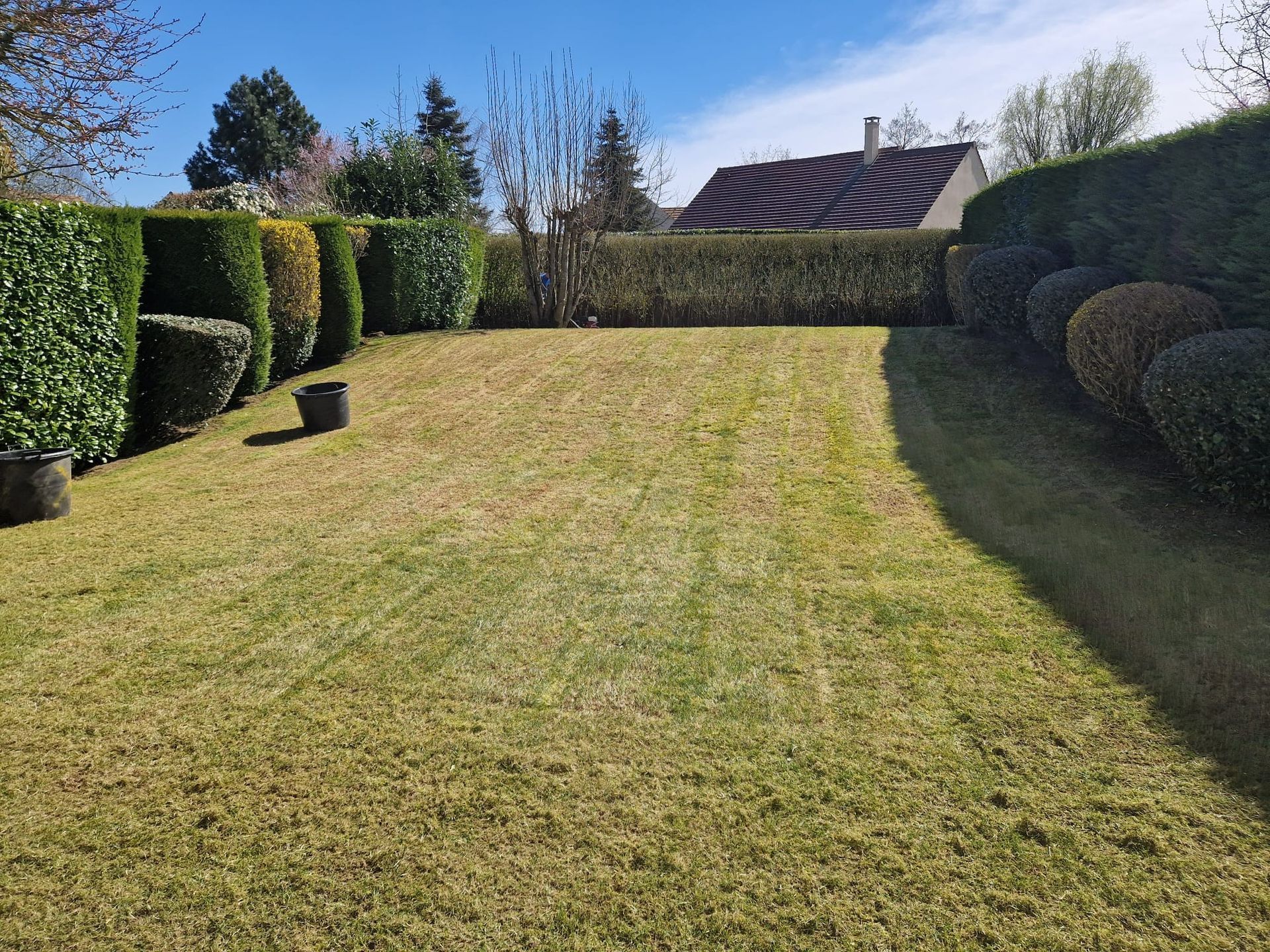Pelouse ensoleillée à l'arrière, bordée de haies et d'arbustes taillés, avec le toit d'une maison en arrière-plan.