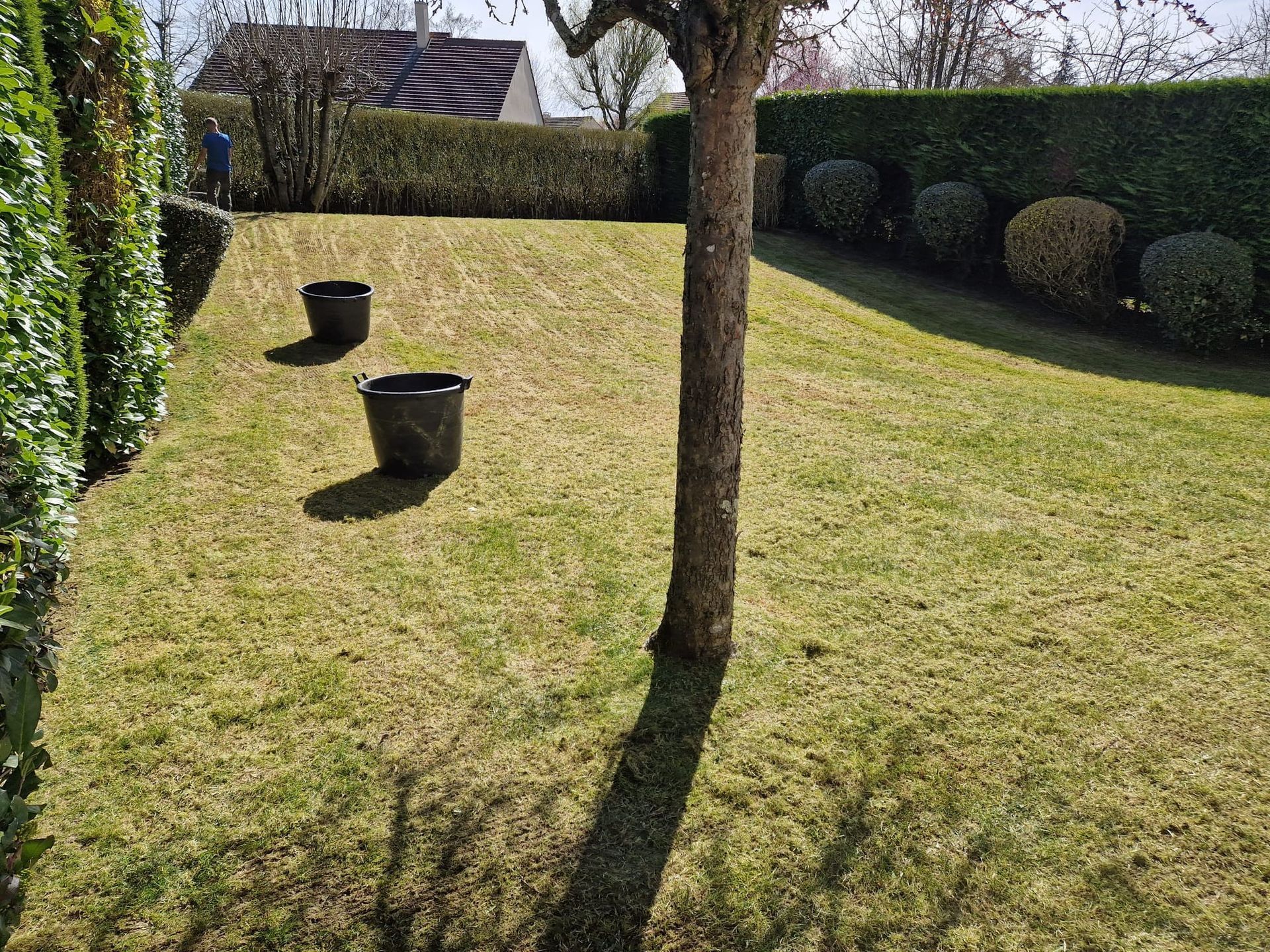Cour ensoleillée et gazonnée avec deux jardinières noires et l'ombre des arbres, bordée de haies et d'une maison à l'arrière.