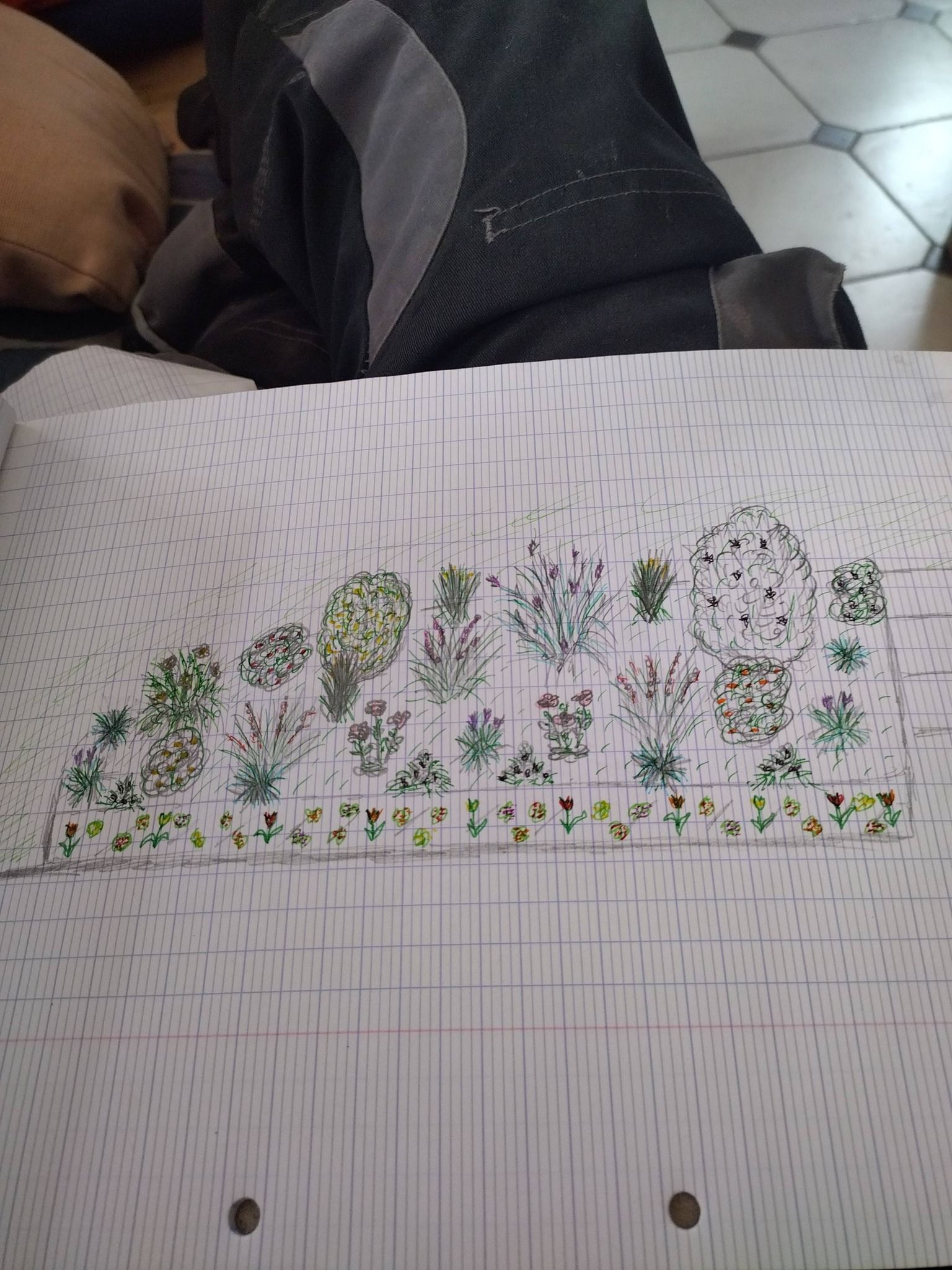Plan d'implantation avec des points verts, roses et jaunes.