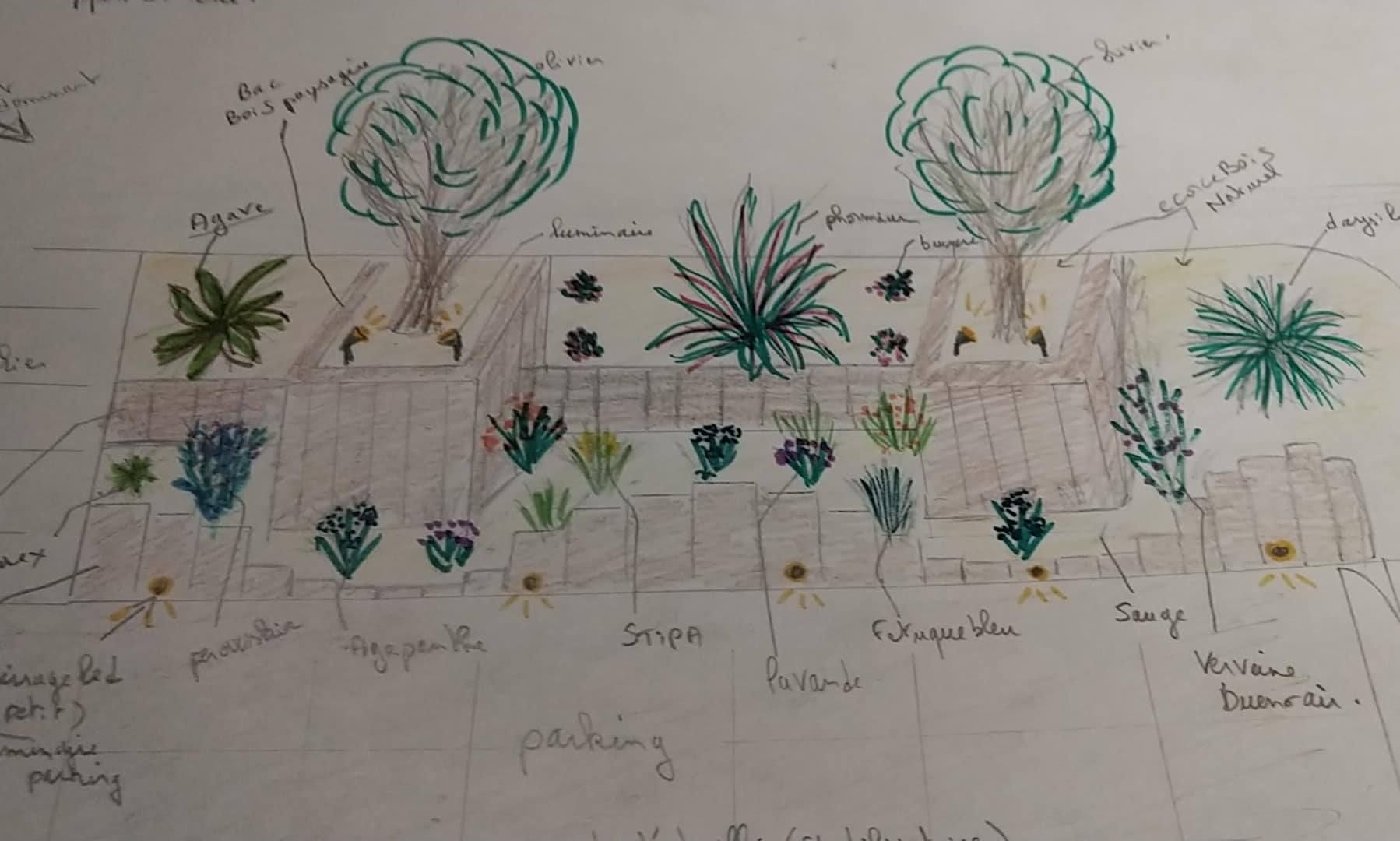 Plan paysager dessiné à la main avec arbres, arbustes, fleurs et zones de plantation légendées sur papier millimétré.
