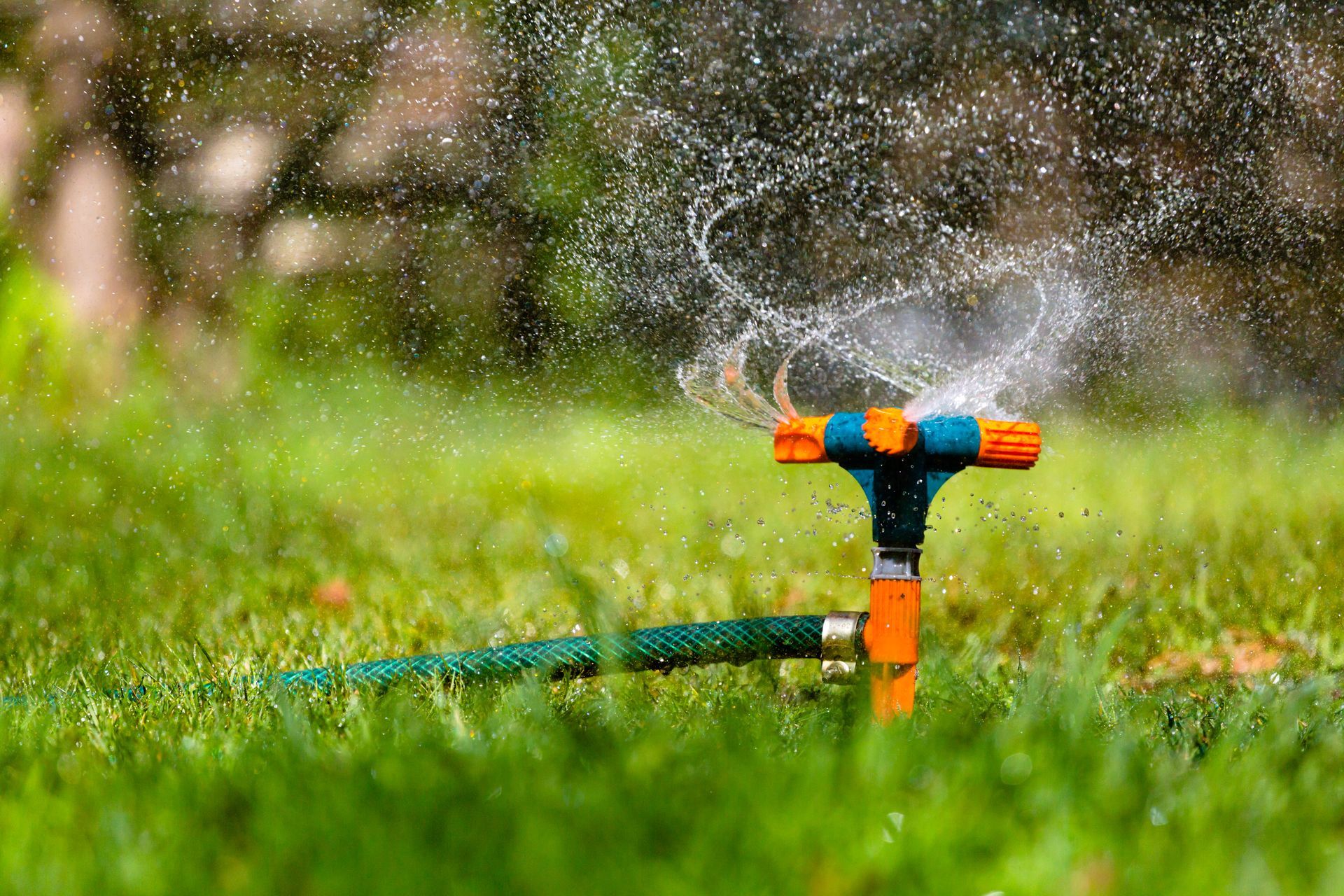 Arroseur de jardin coloré projetant de l'eau sur la pelouse verte.