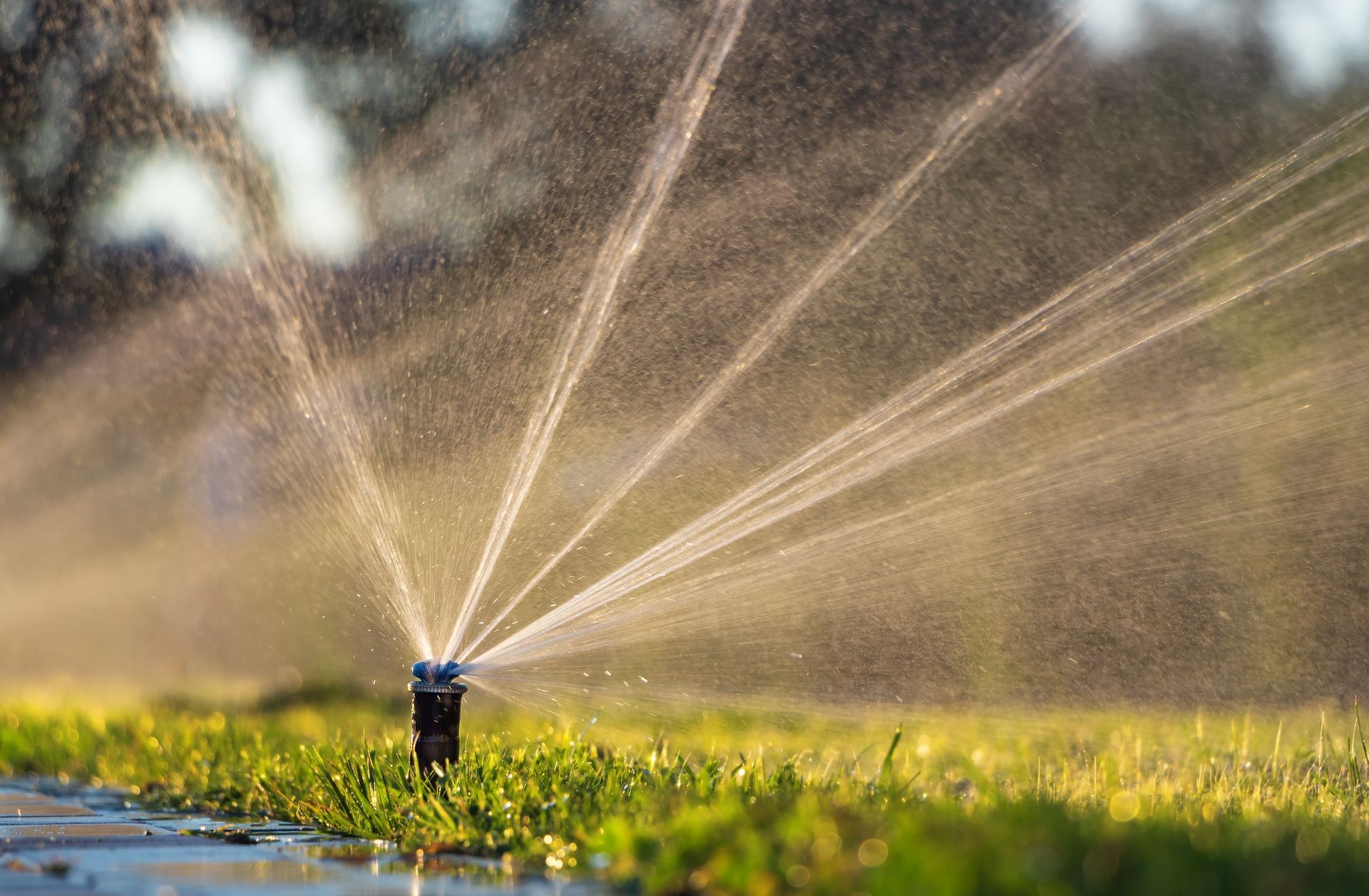 Arroseur automatique arrosant une pelouse verte dans un jardin ensoleillé, l'eau giclant en diagonale sur le cadre.