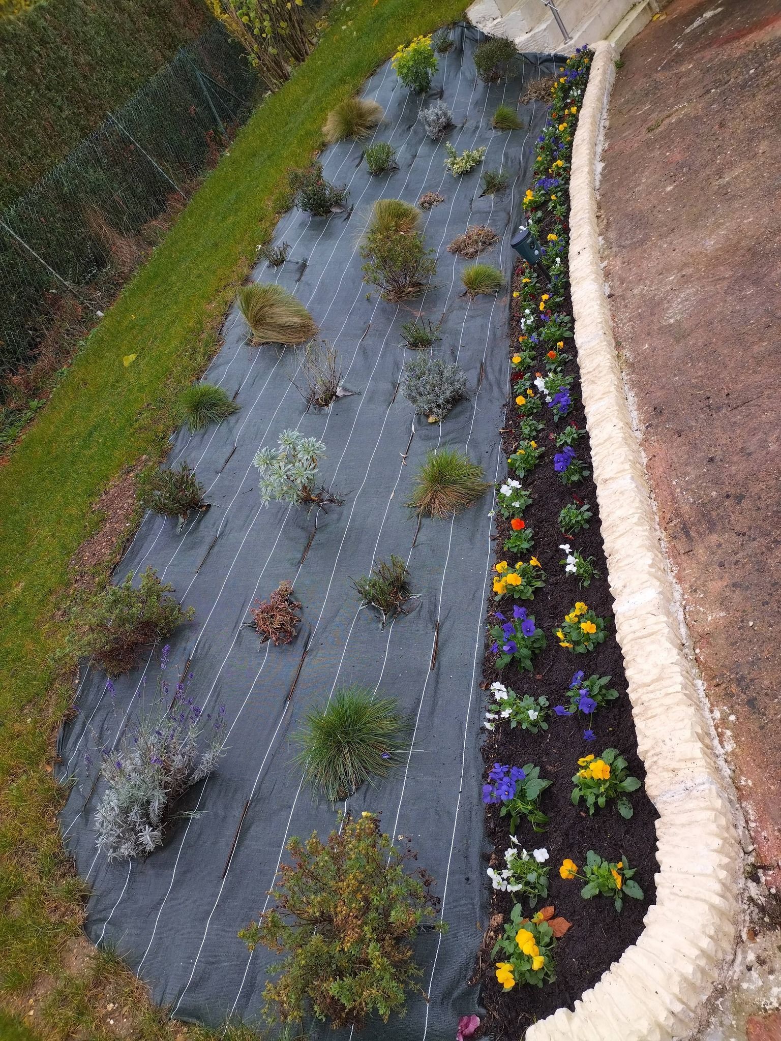 Massif de fleurs avec de petites plantes et des fleurs colorées le long d'une allée et d'une bordure de gazon.